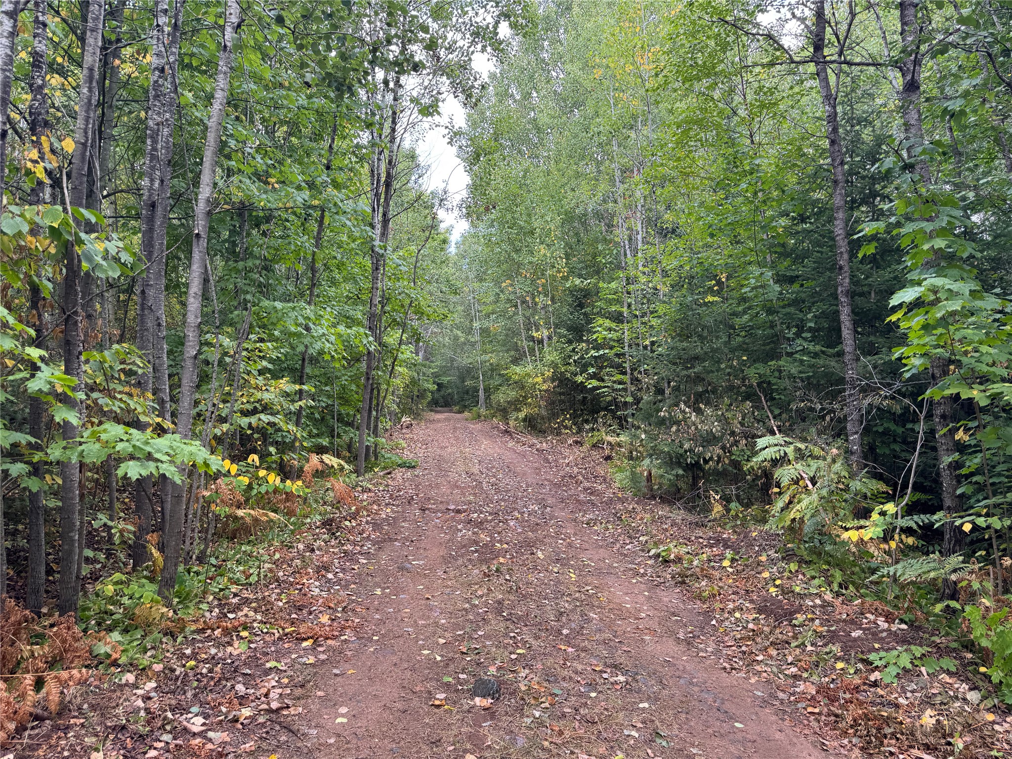40 Acres On Fr 1769 Property Photo 51