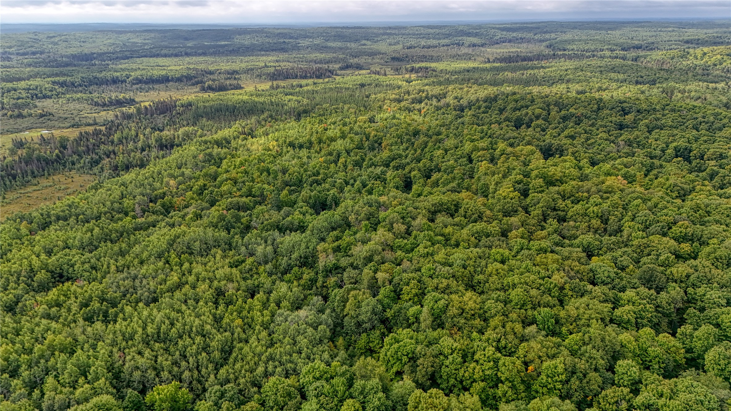 40 Acres On Fr 1769 Property Photo 52