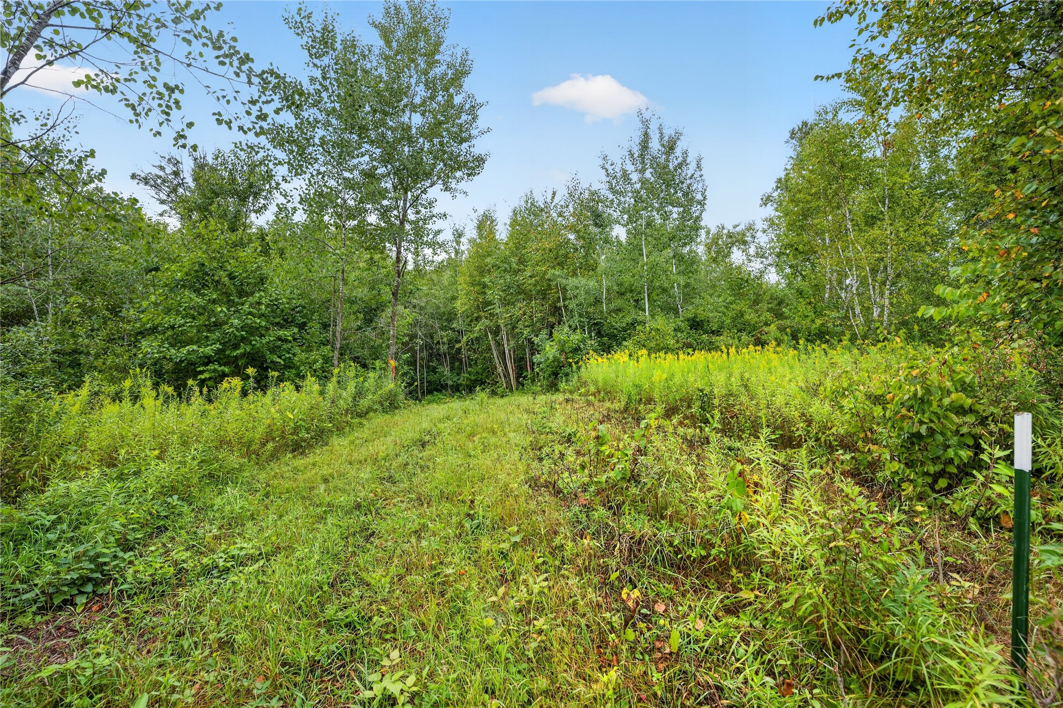 000 Fye Road Property Photo 6