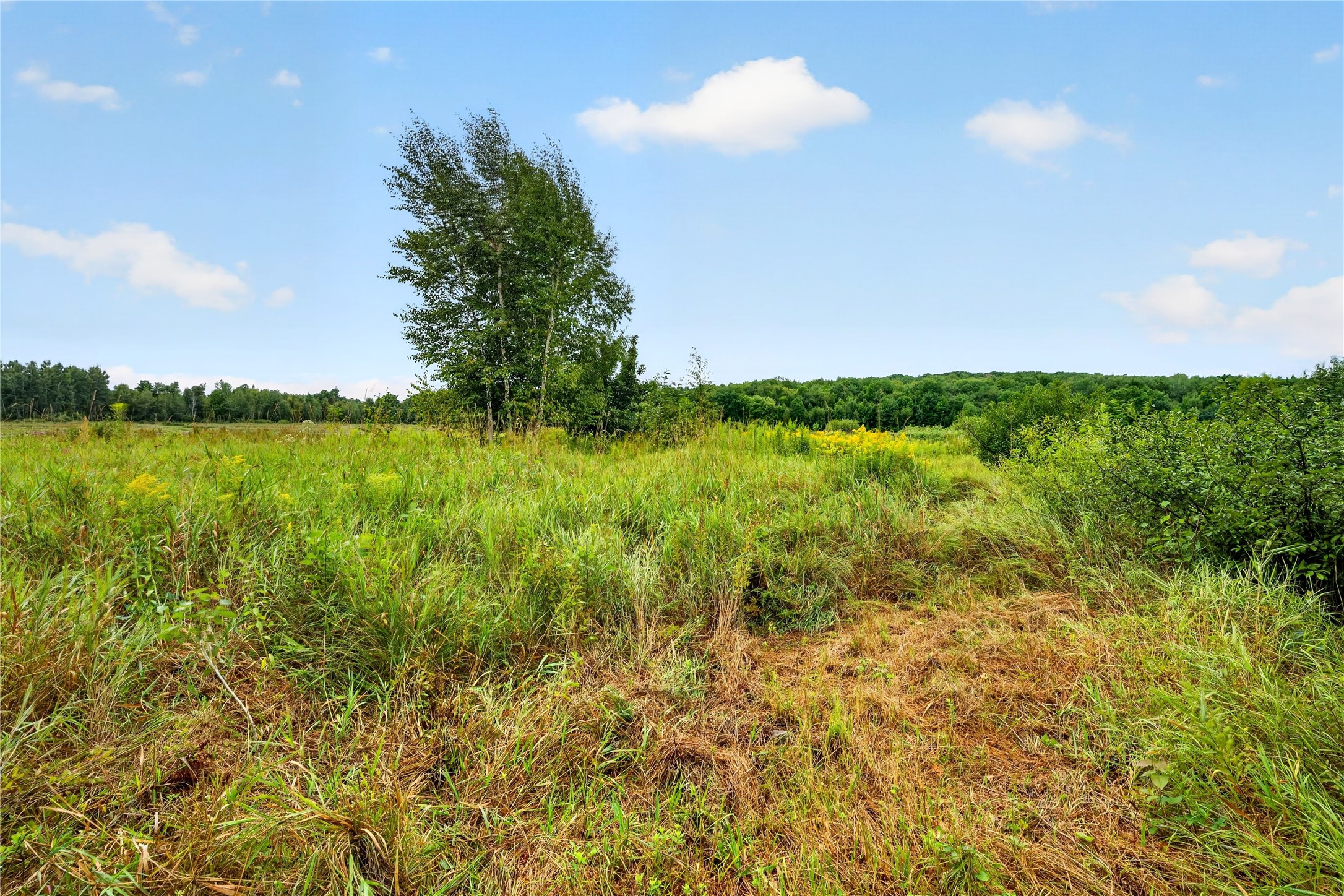 000 Fye Road Property Photo 10
