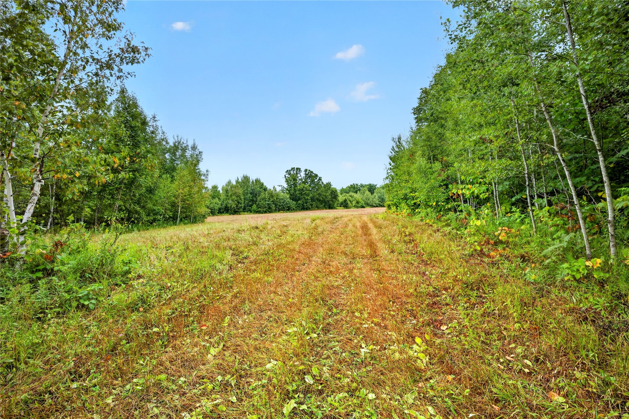 000 Fye Road Property Photo 11