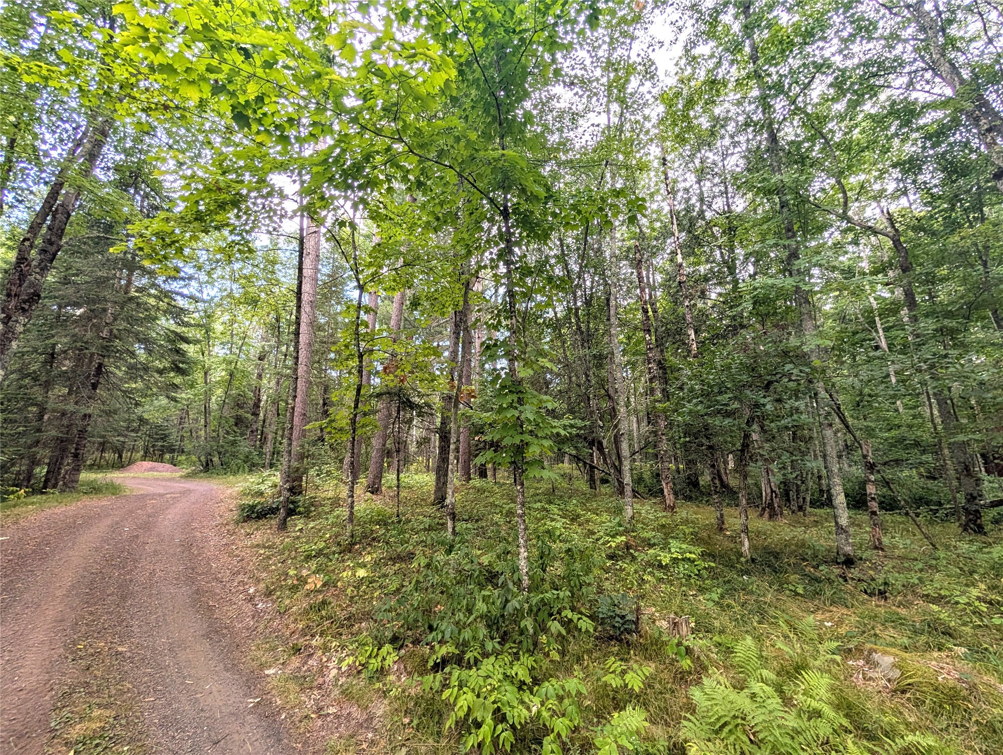 11921 S Ossman Road Property Photo 20
