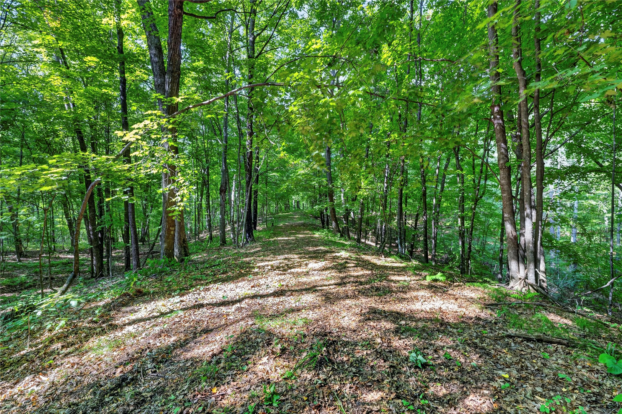 Xxx County Highway B Property Photo 13