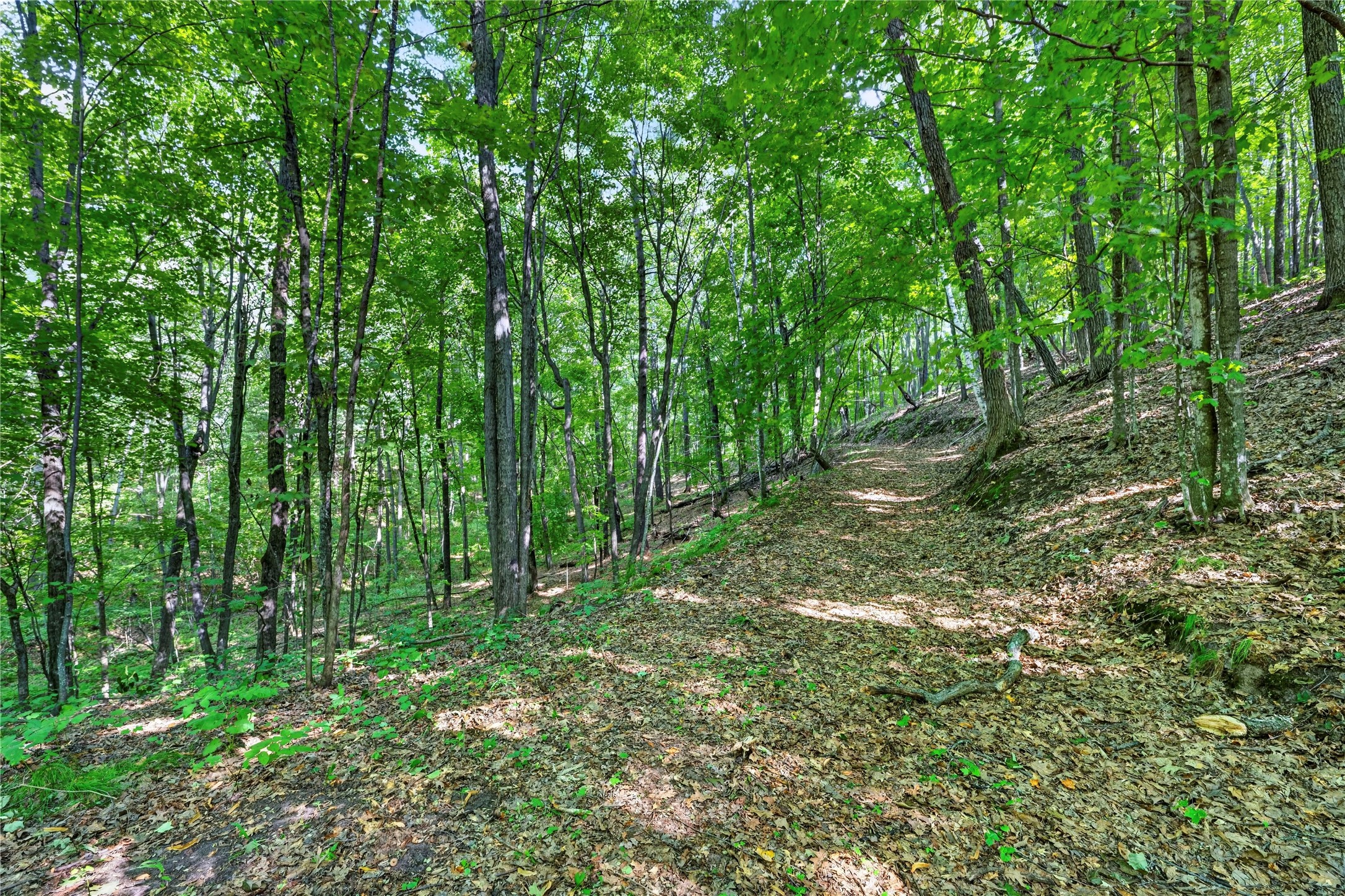 Xxx County Highway B Property Photo 17