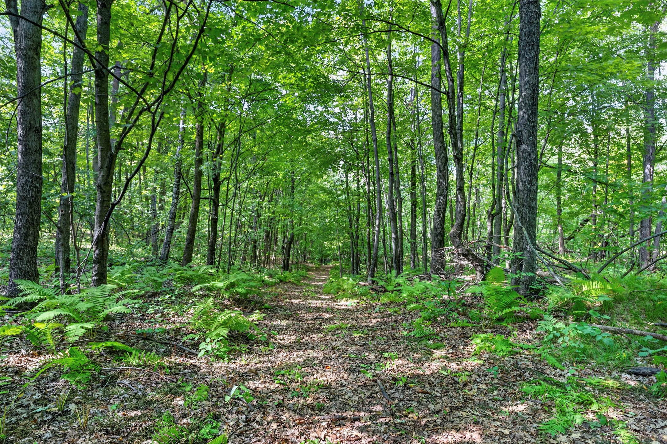 Xxx County Highway B Property Photo 18