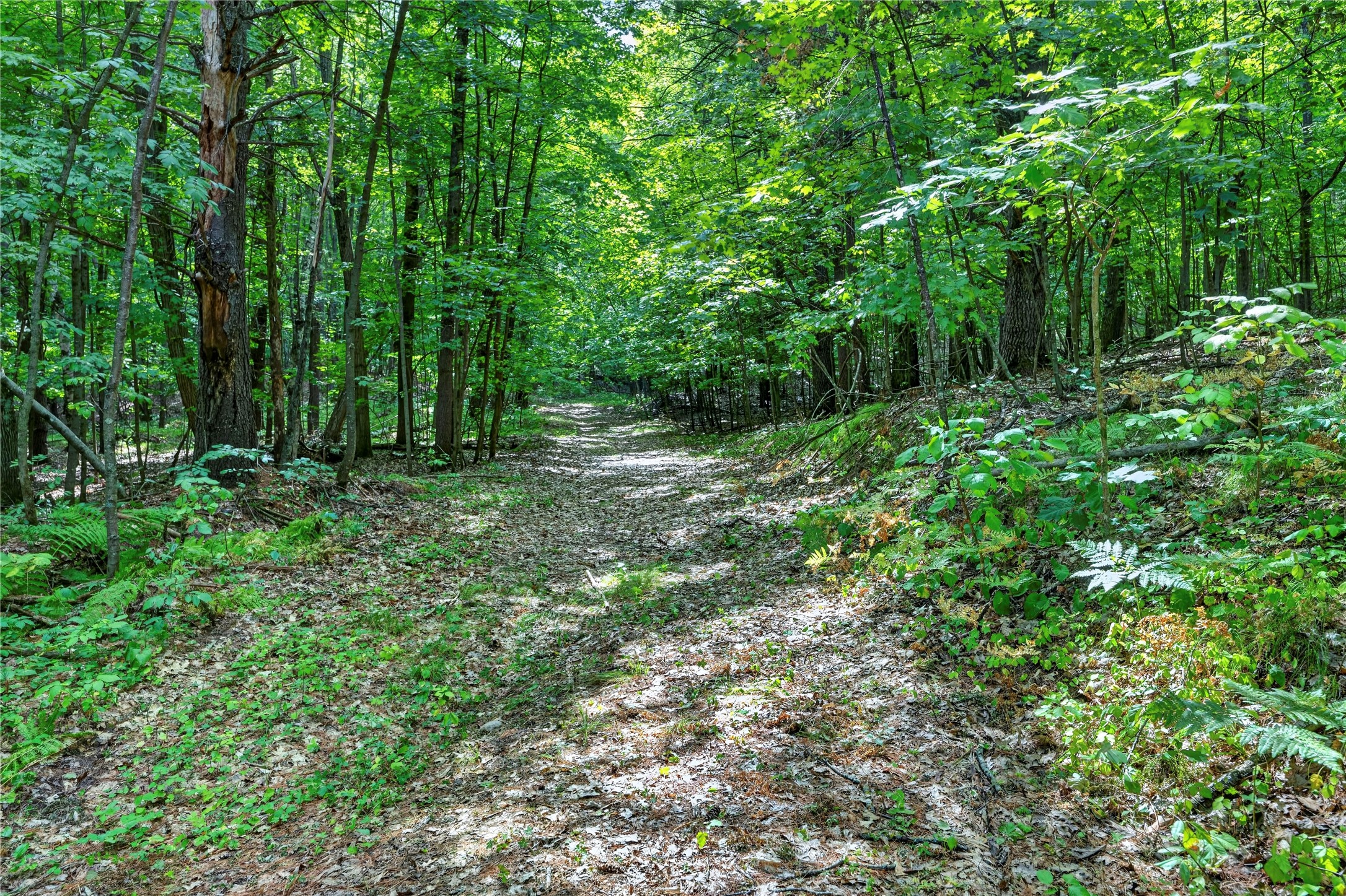 Xxx County Highway B Property Photo 20
