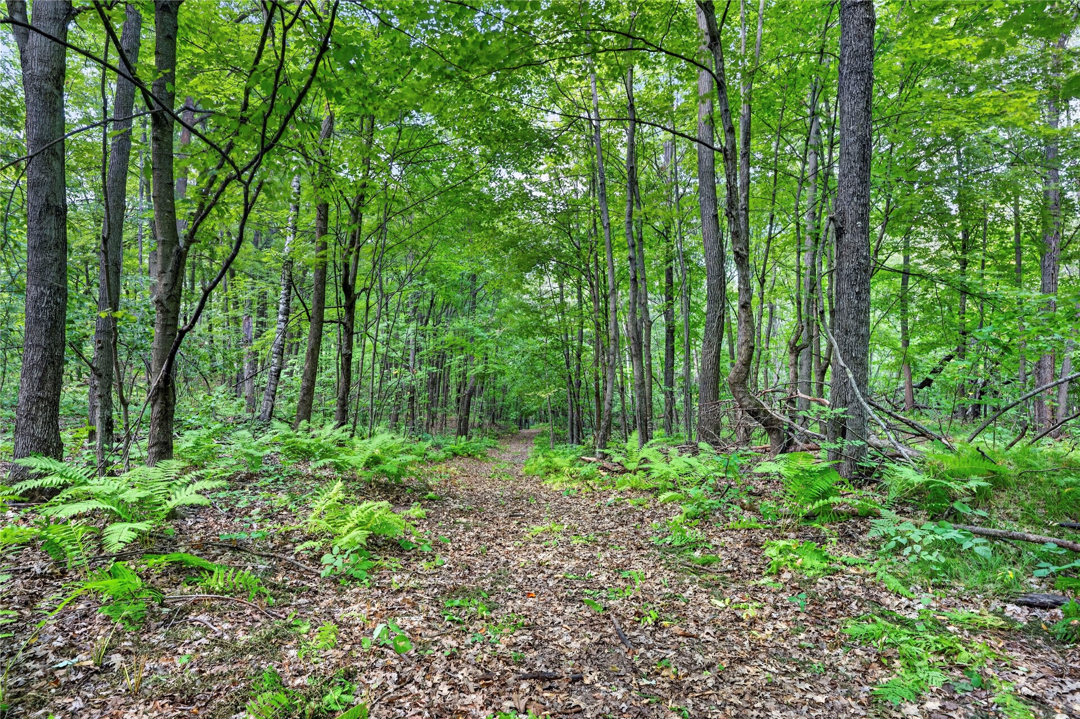 Xxx County Highway B Property Photo 40