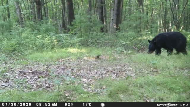 Xxx County Highway B Property Photo 45