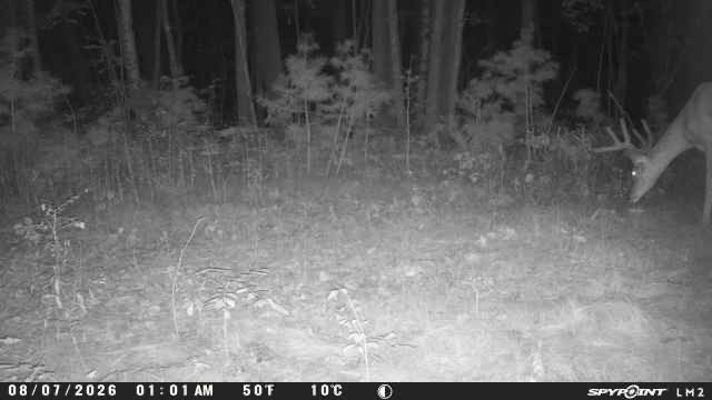 Xxx County Highway B Property Photo 47