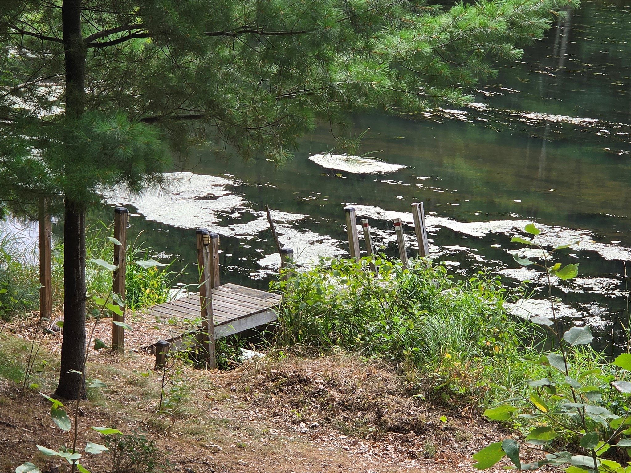 25841 Normans Landing Road Property Photo 5