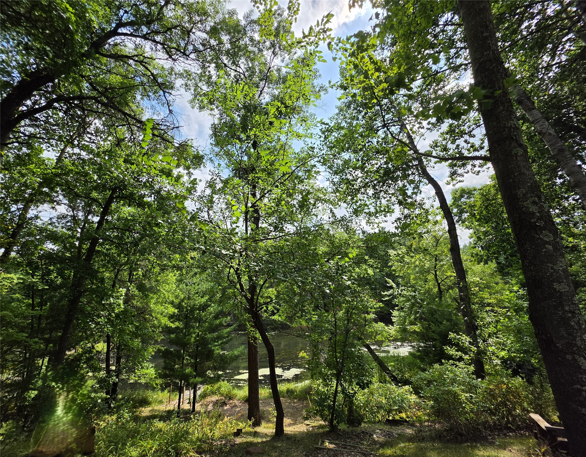 25841 Normans Landing Road Property Photo 13