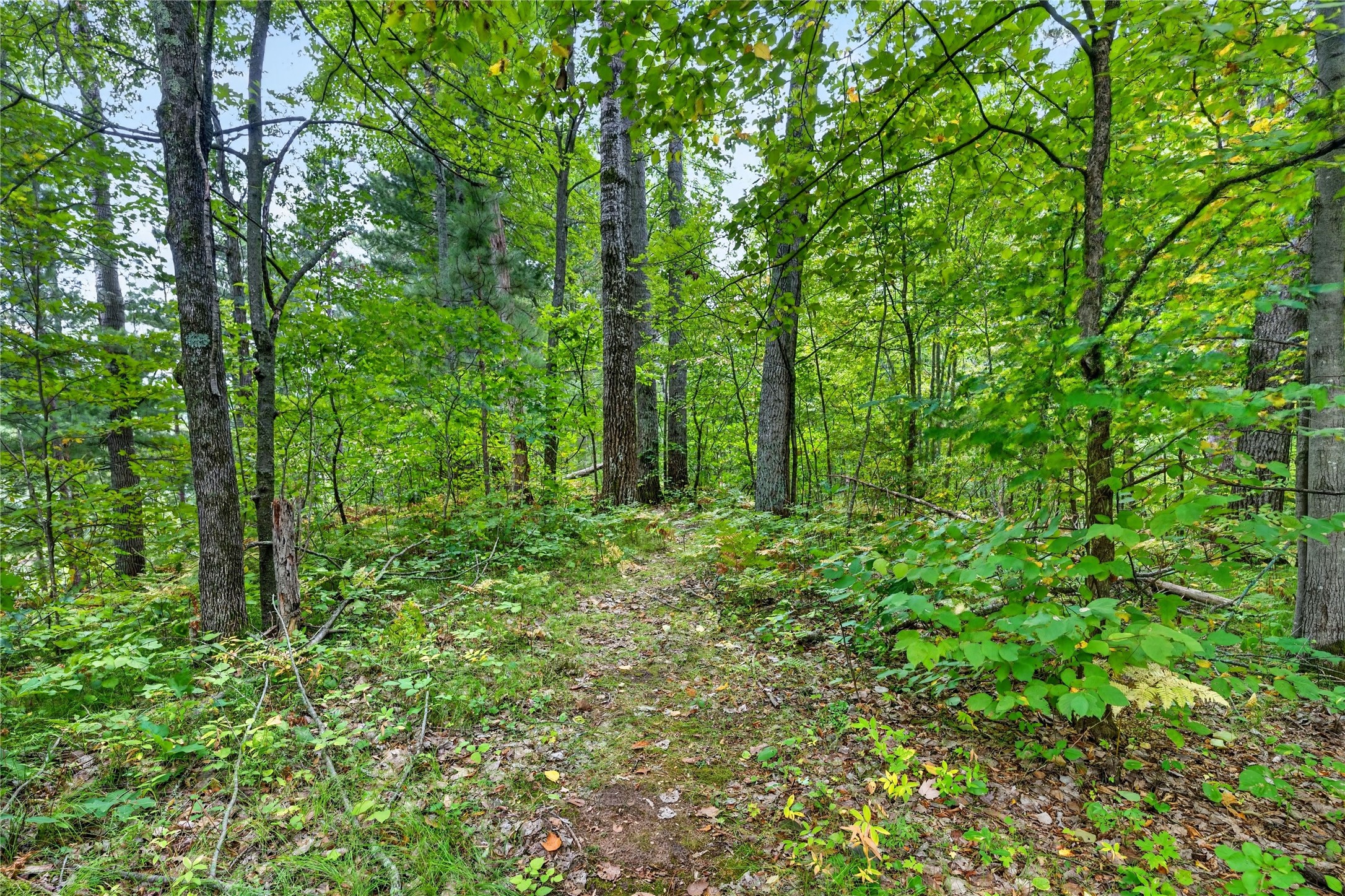 25841 Normans Landing Road Property Photo 30