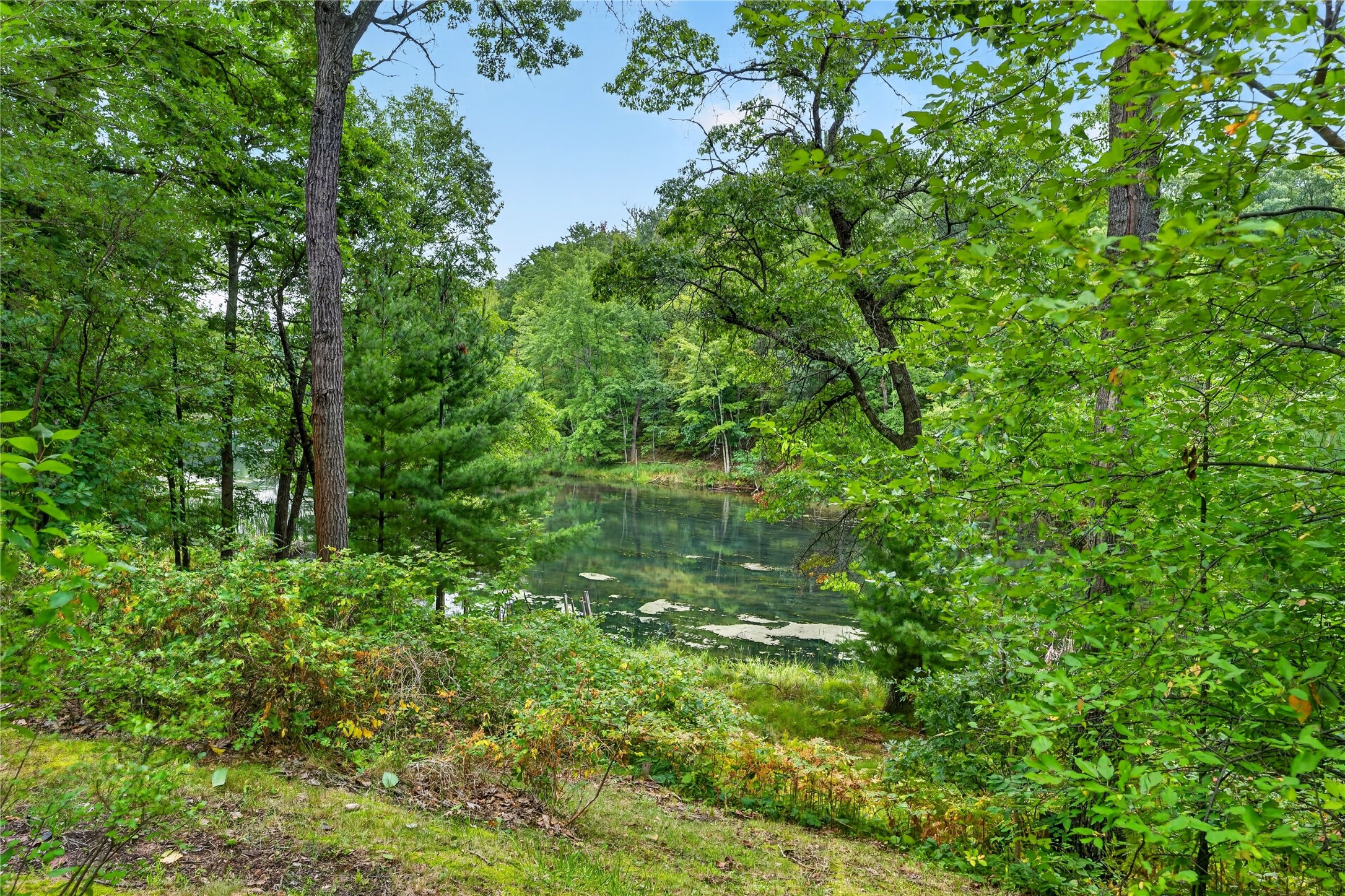25841 Normans Landing Road Property Photo 31