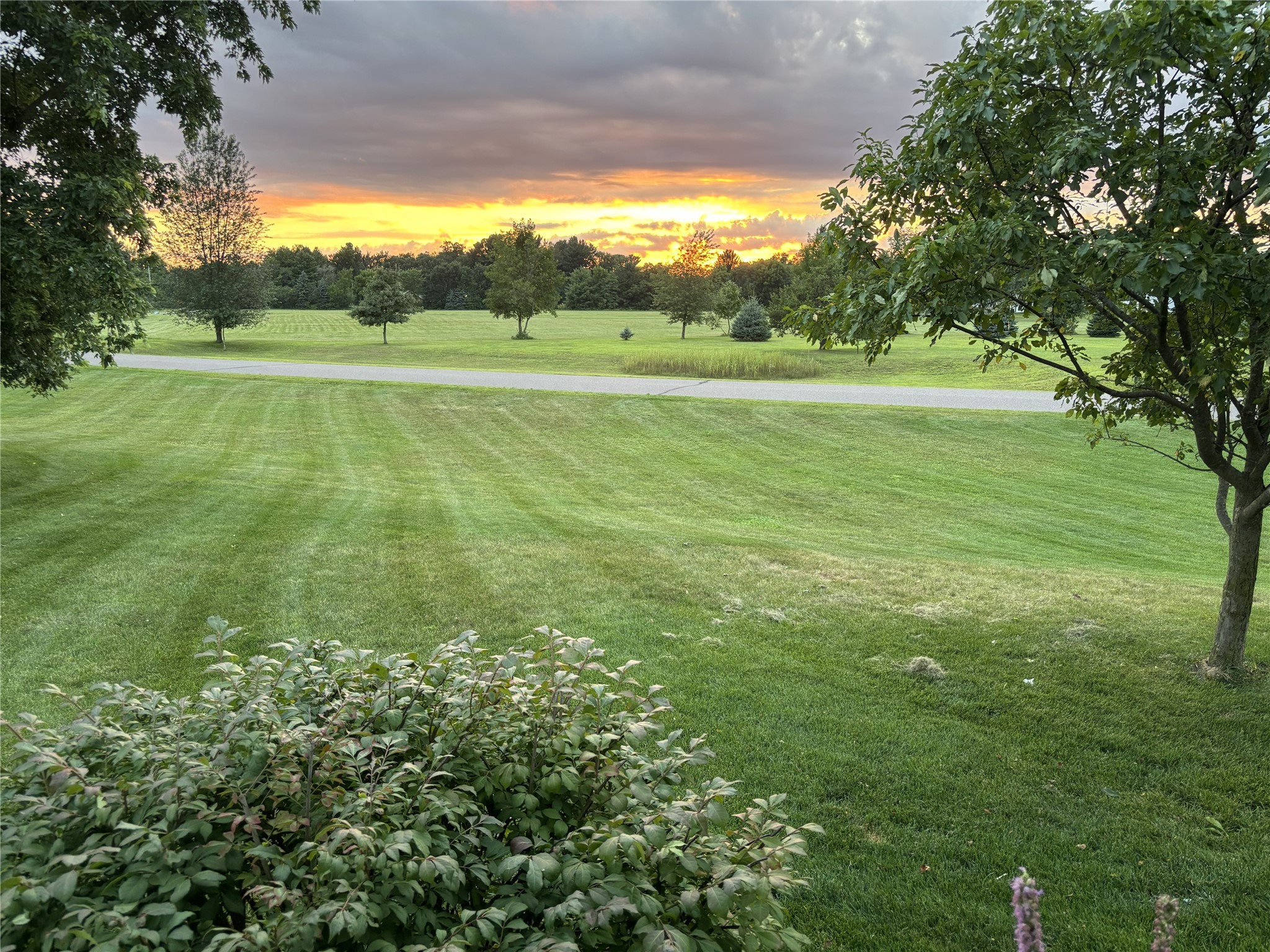 18009 51st Avenue Property Photo 4