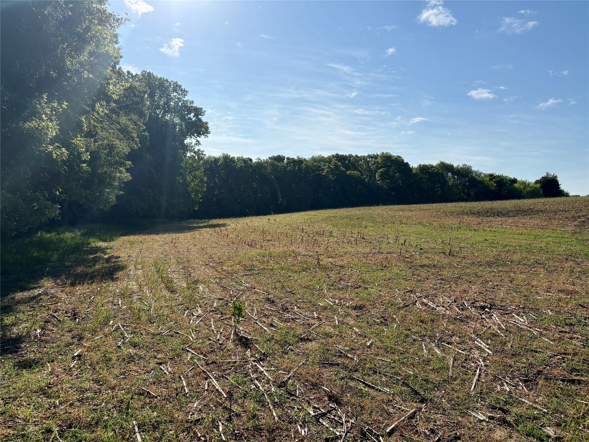 15.01 Acres 160th Avenue Property Photo 27