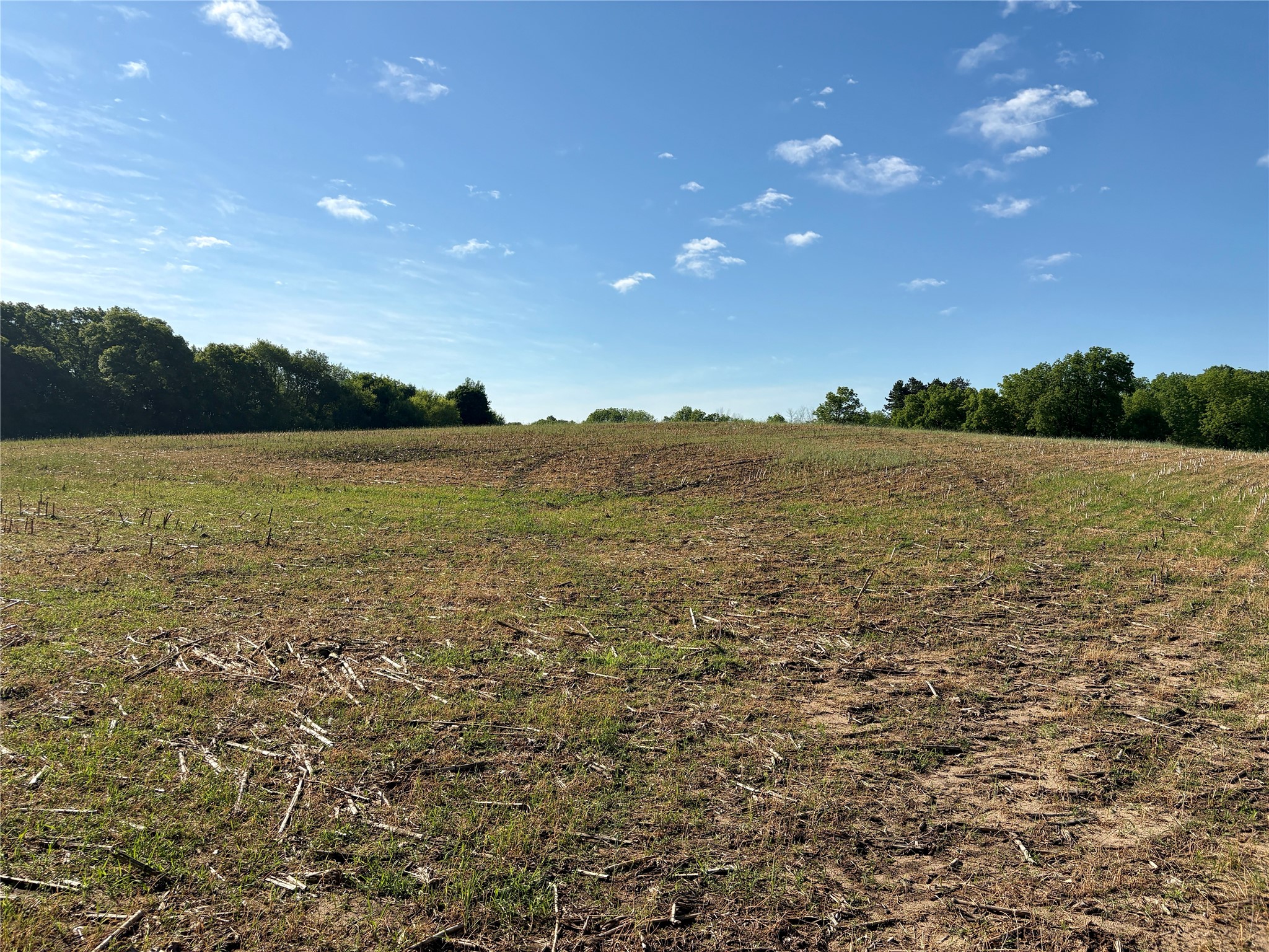 15.01 Acres 160th Avenue Property Photo 29