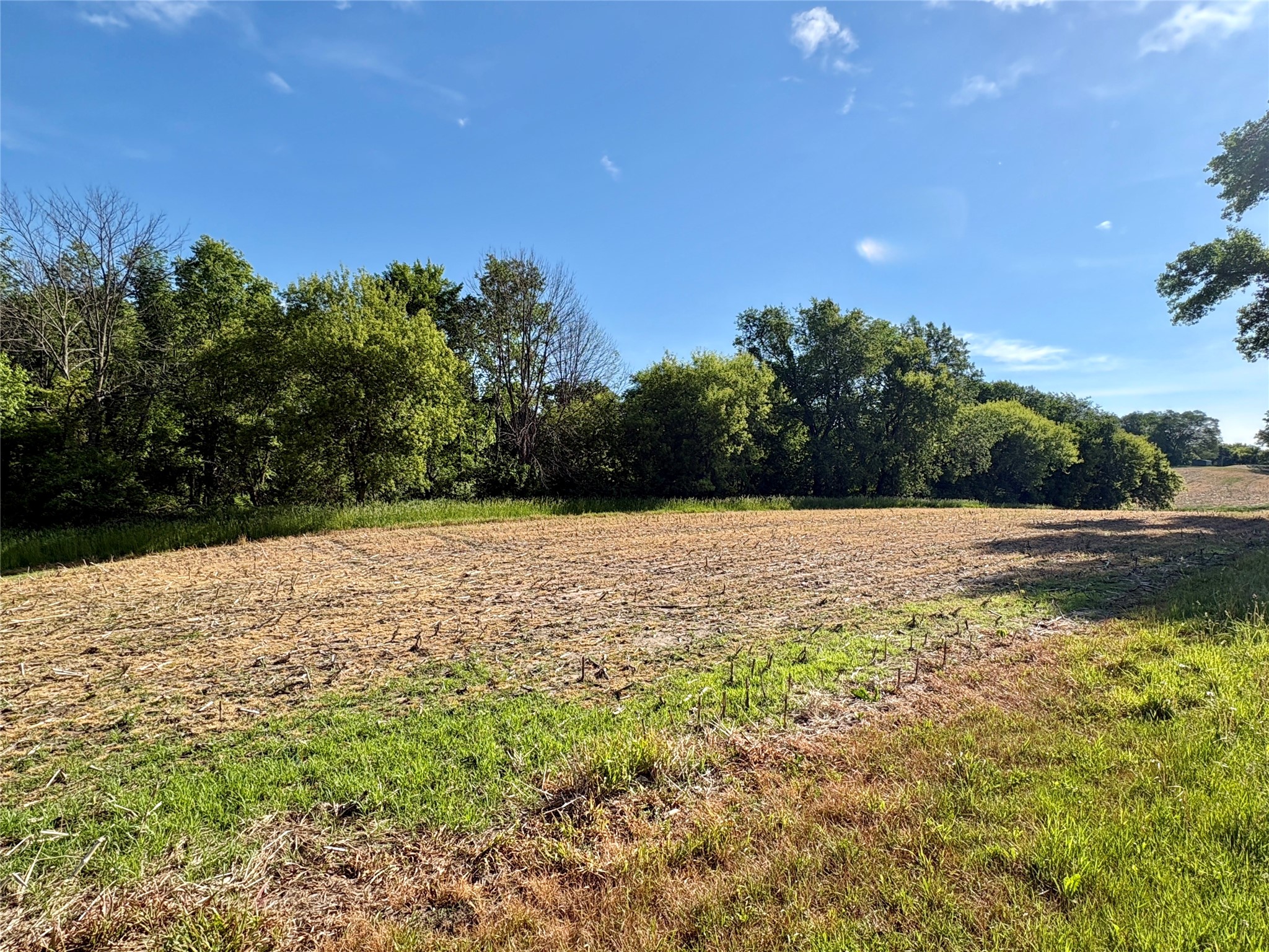 15.01 Acres 160th Avenue Property Photo 35