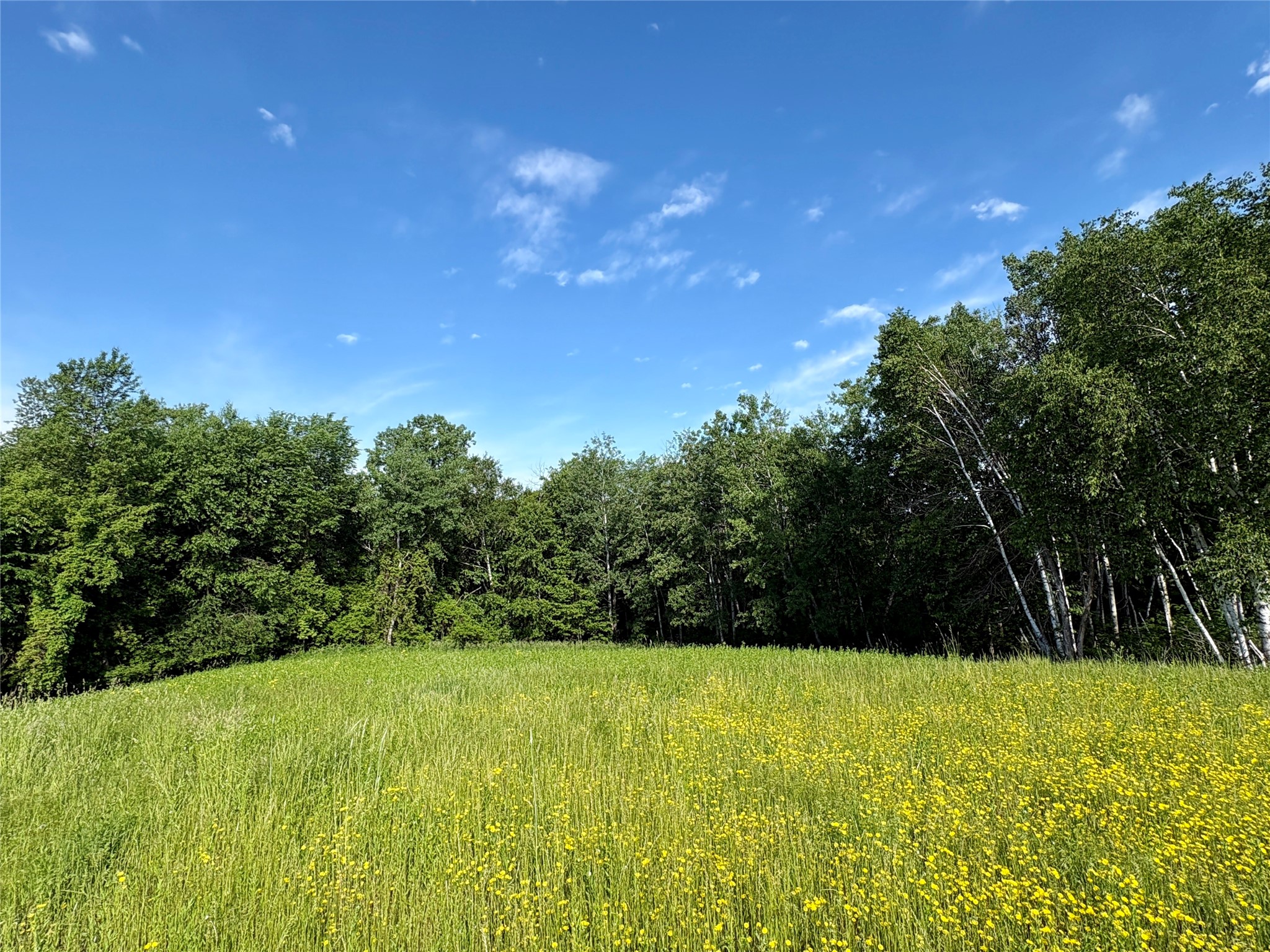 15.01 Acres 160th Avenue Property Photo 43