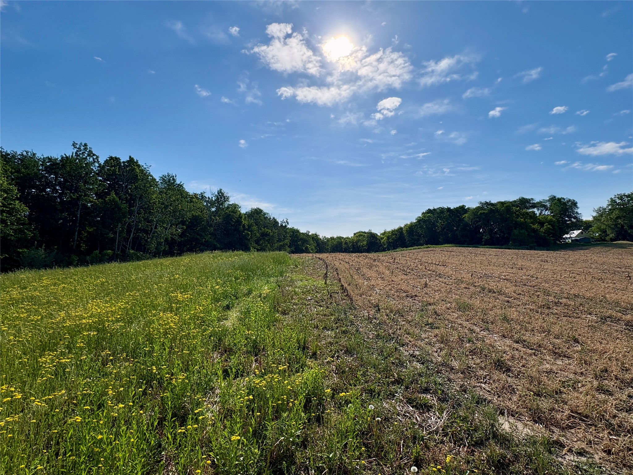 15.01 Acres 160th Avenue Property Photo 44
