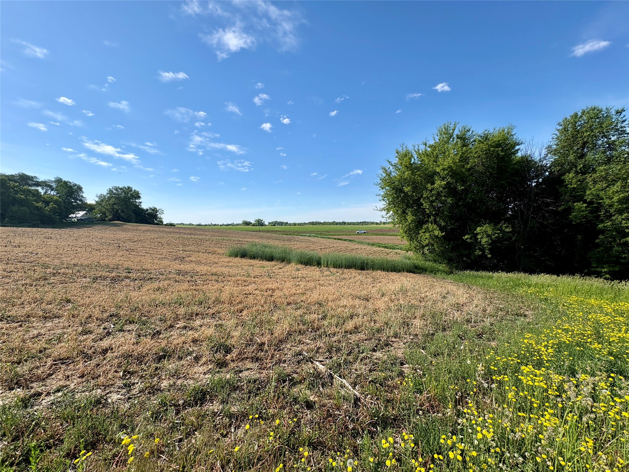 15.01 Acres 160th Avenue Property Photo 45