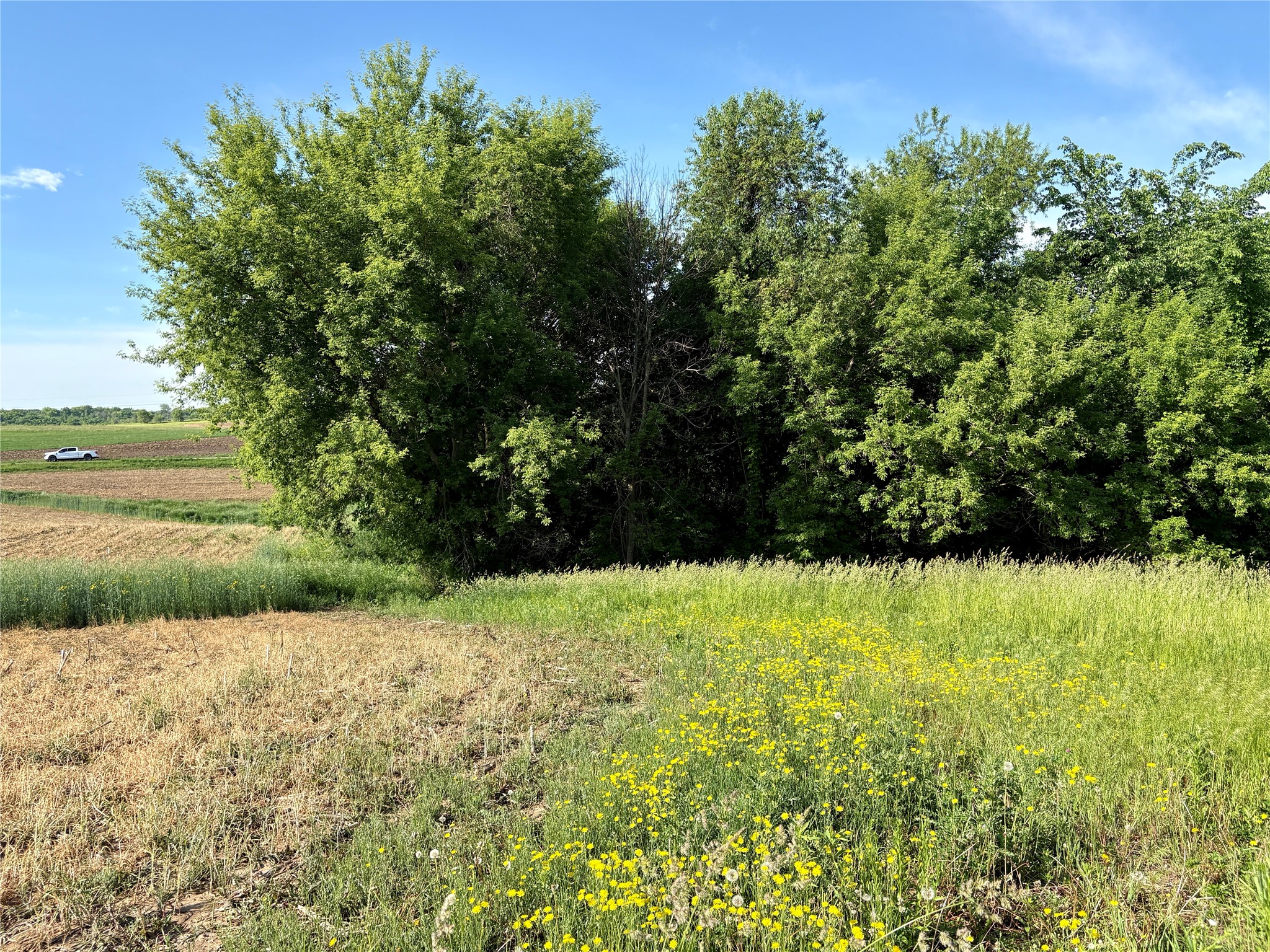 15.01 Acres 160th Avenue Property Photo 46