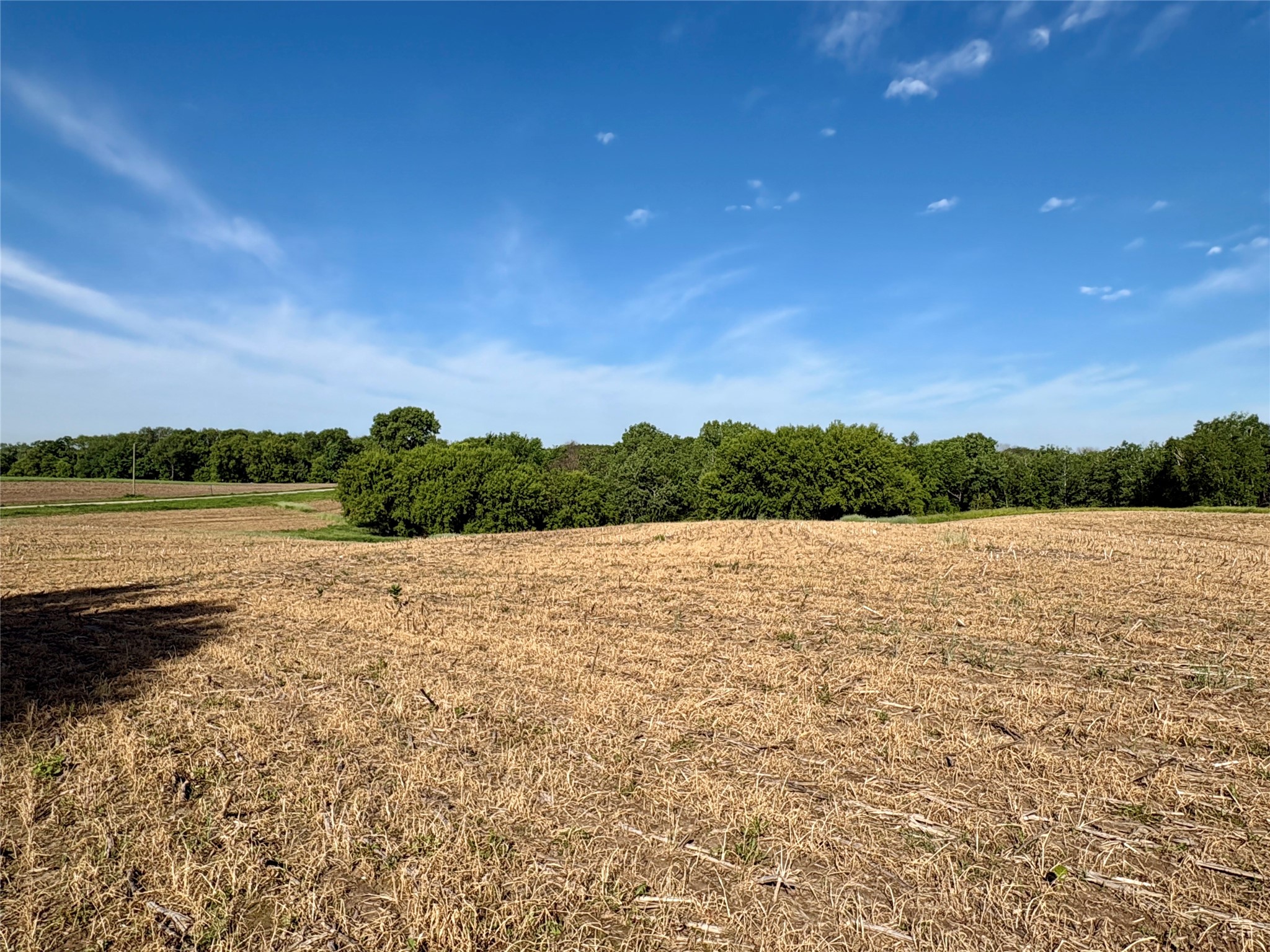 15.01 Acres 160th Avenue Property Photo 47
