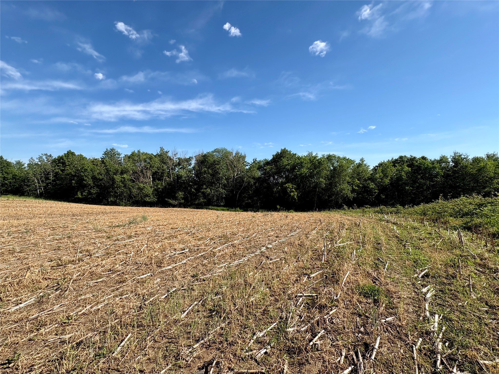 15.01 Acres 160th Avenue Property Photo 48