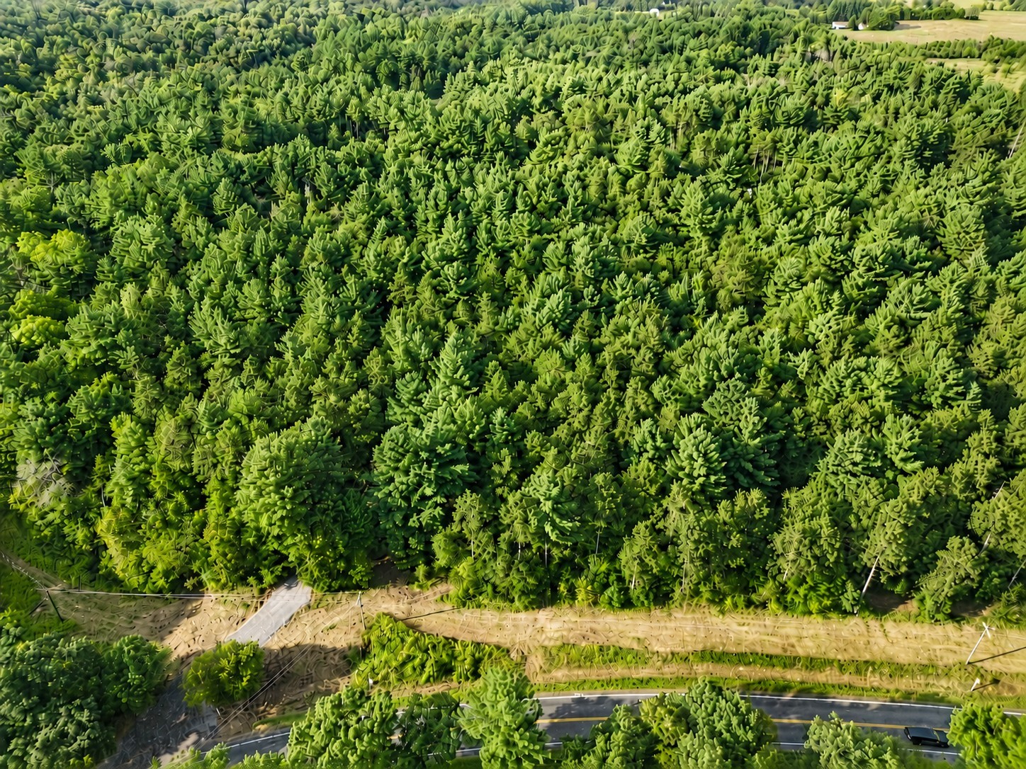 0 Country Road C Lot 1 Property Photo 3