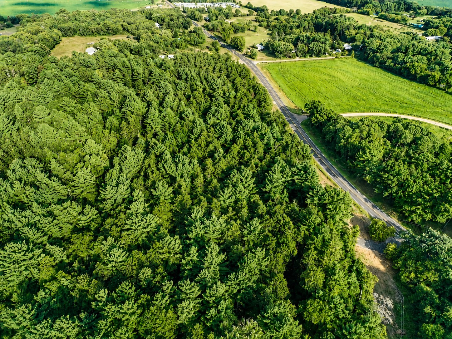 0 Country Road C Lot 1 Property Photo 4