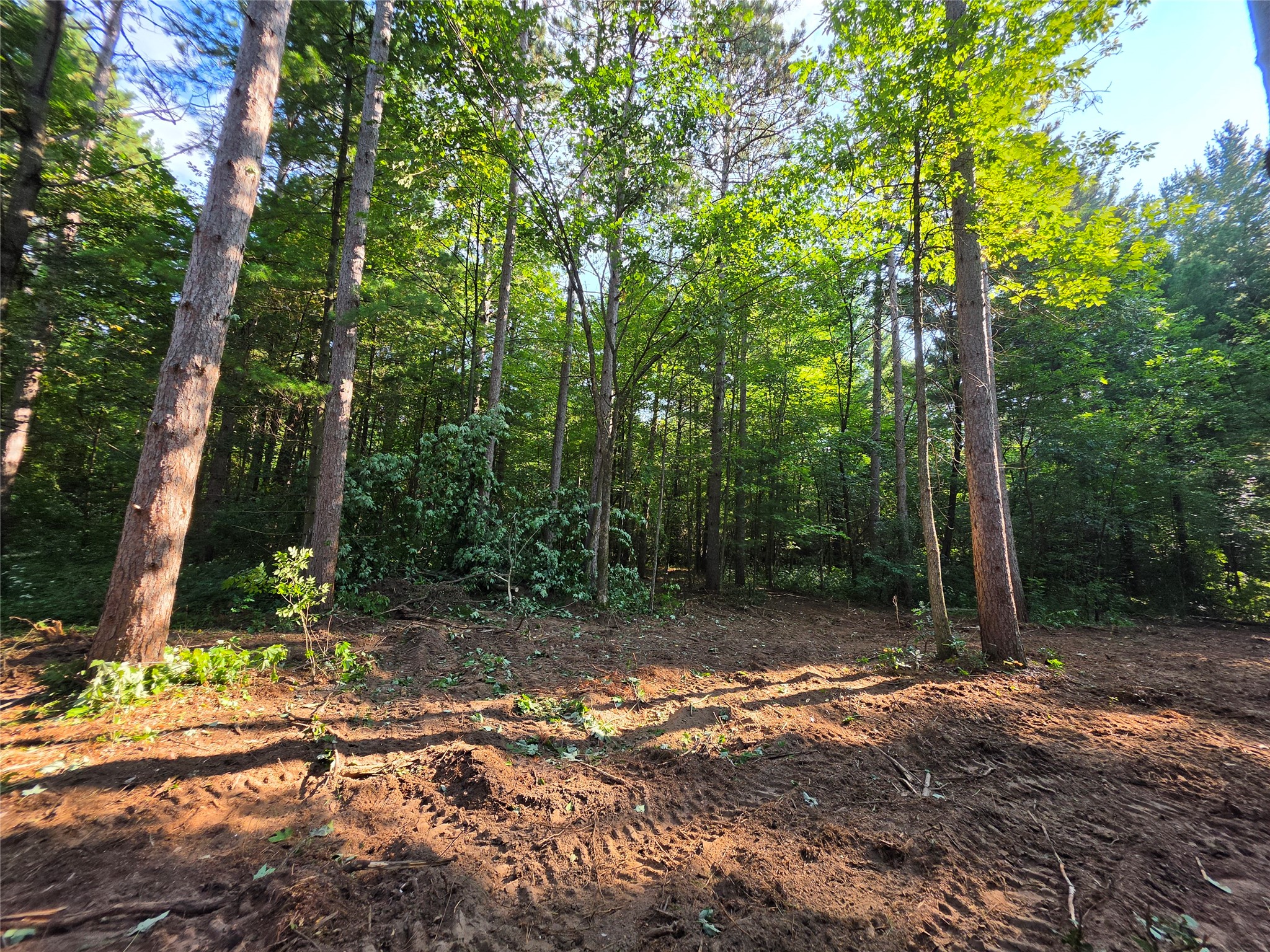 0 Country Road C Lot 1 Property Photo 5