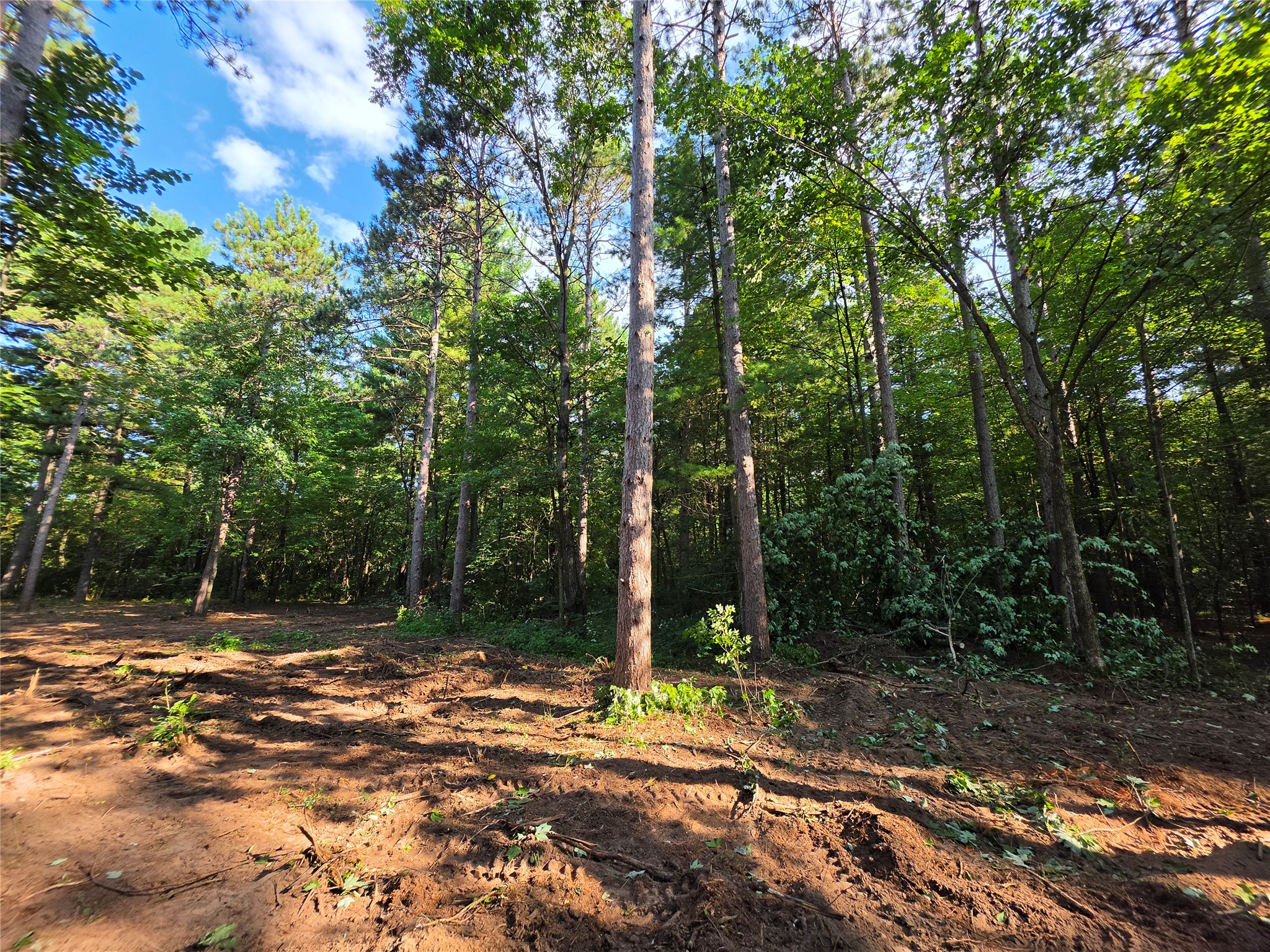 0 Country Road C Lot 1 Property Photo 6