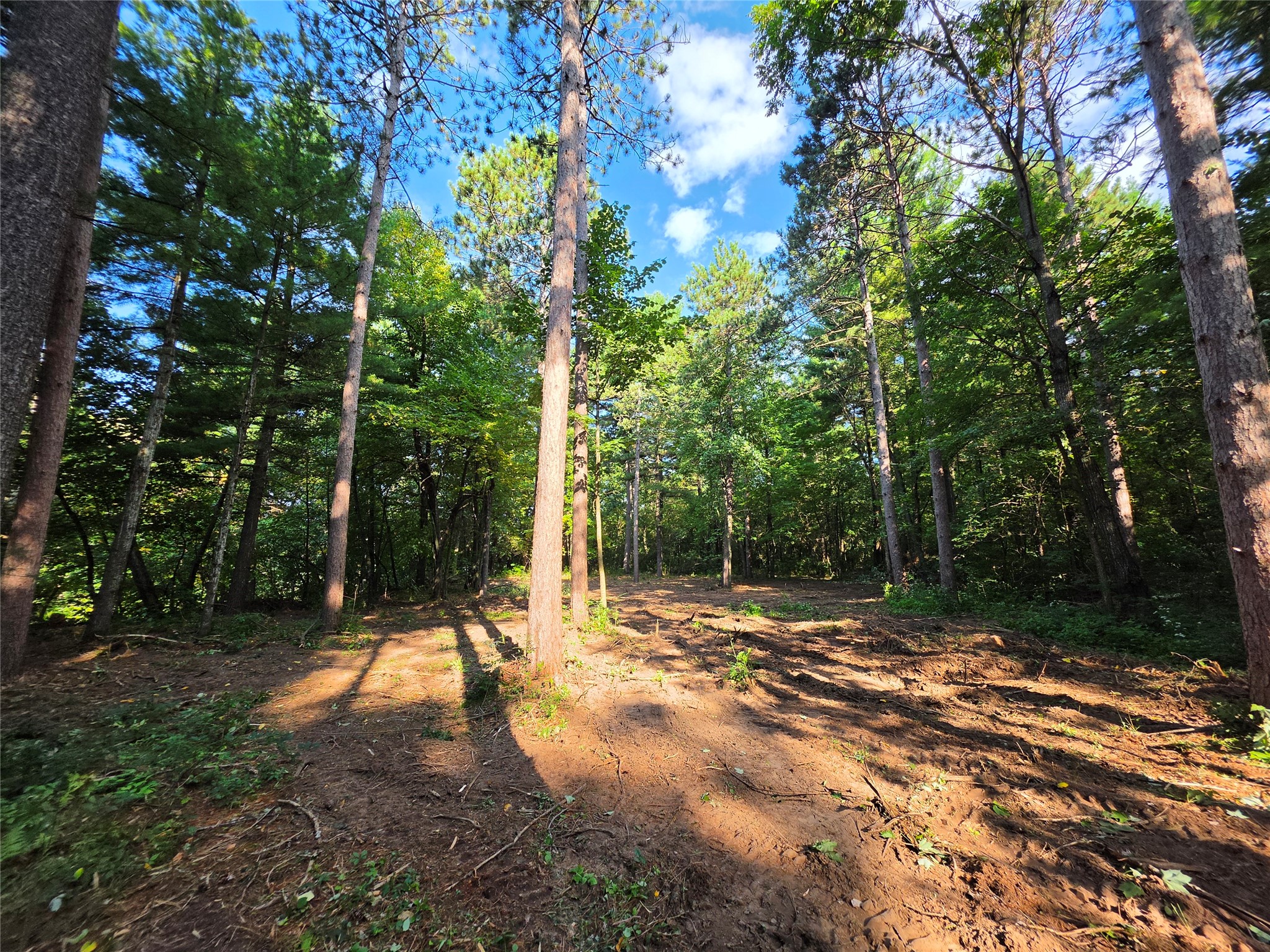 0 Country Road C Lot 1 Property Photo 7