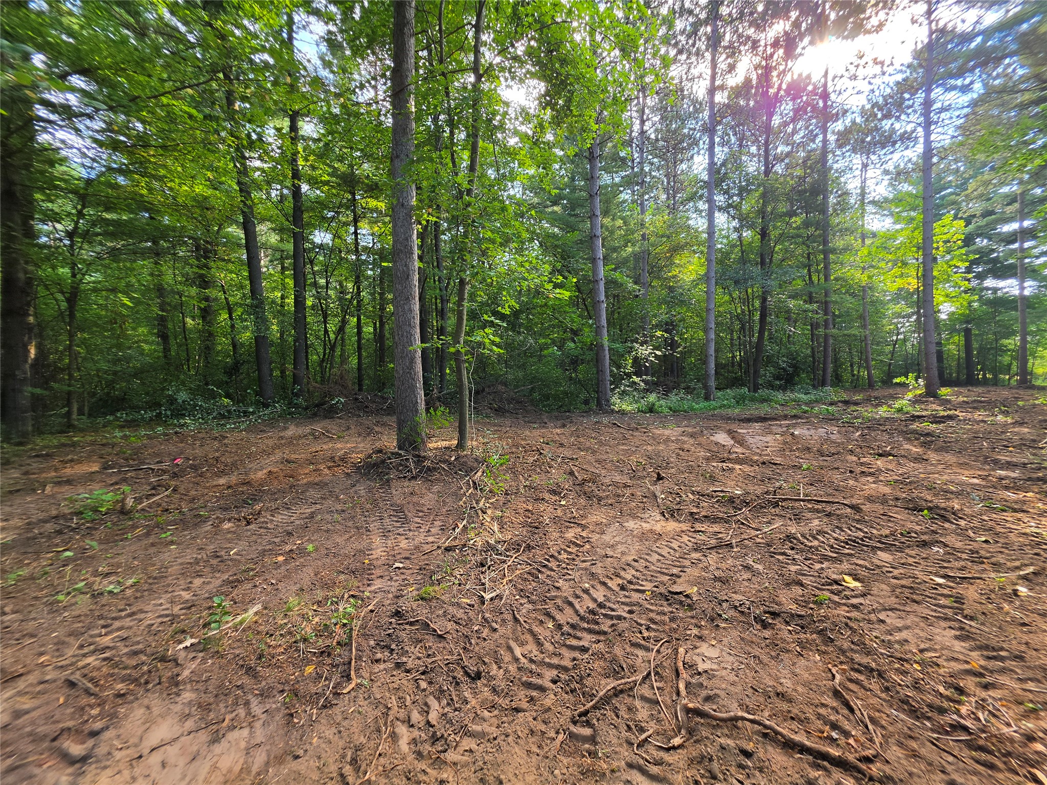 0 Country Road C Lot 1 Property Photo 8
