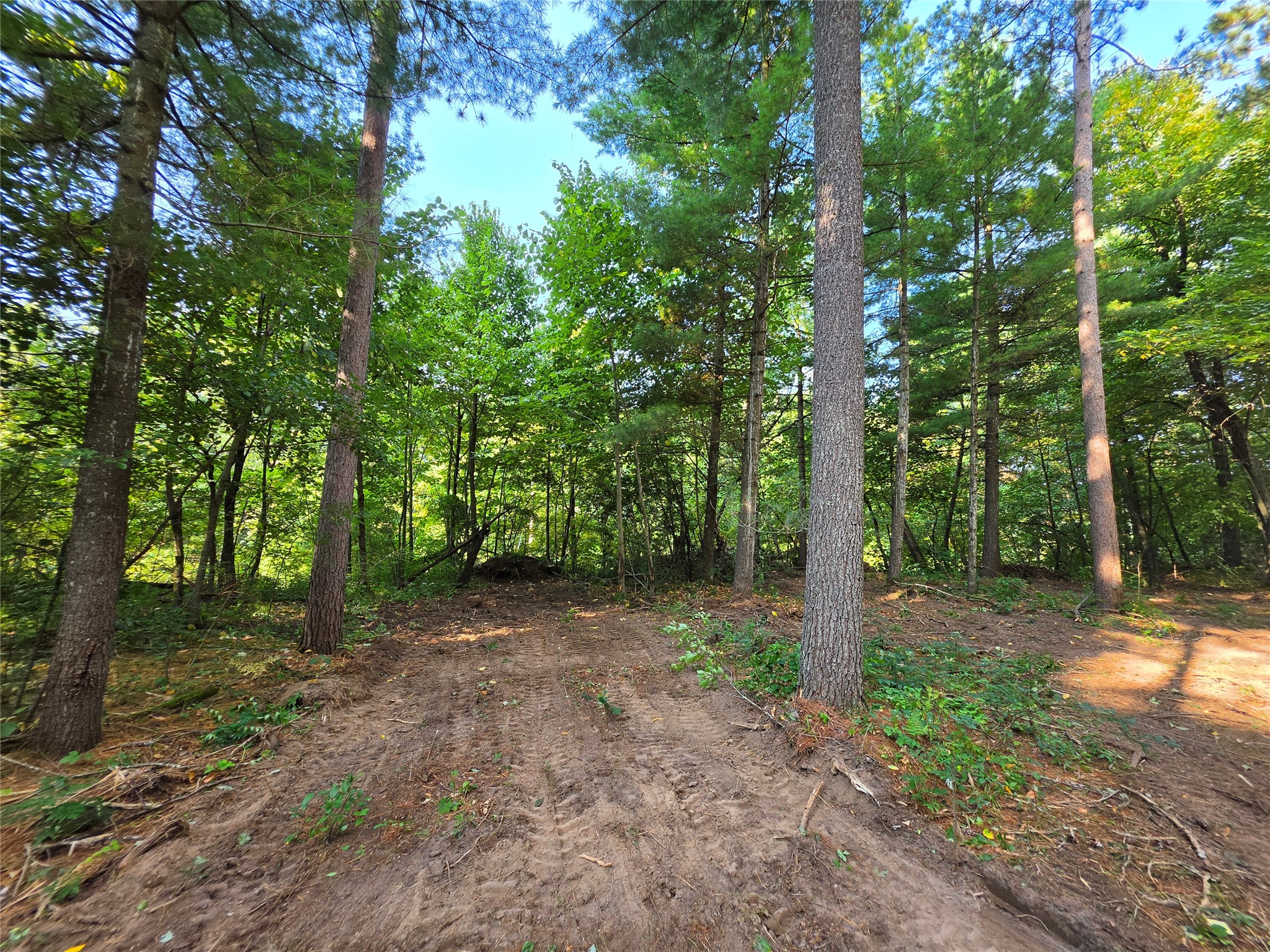 0 Country Road C Lot 1 Property Photo 9