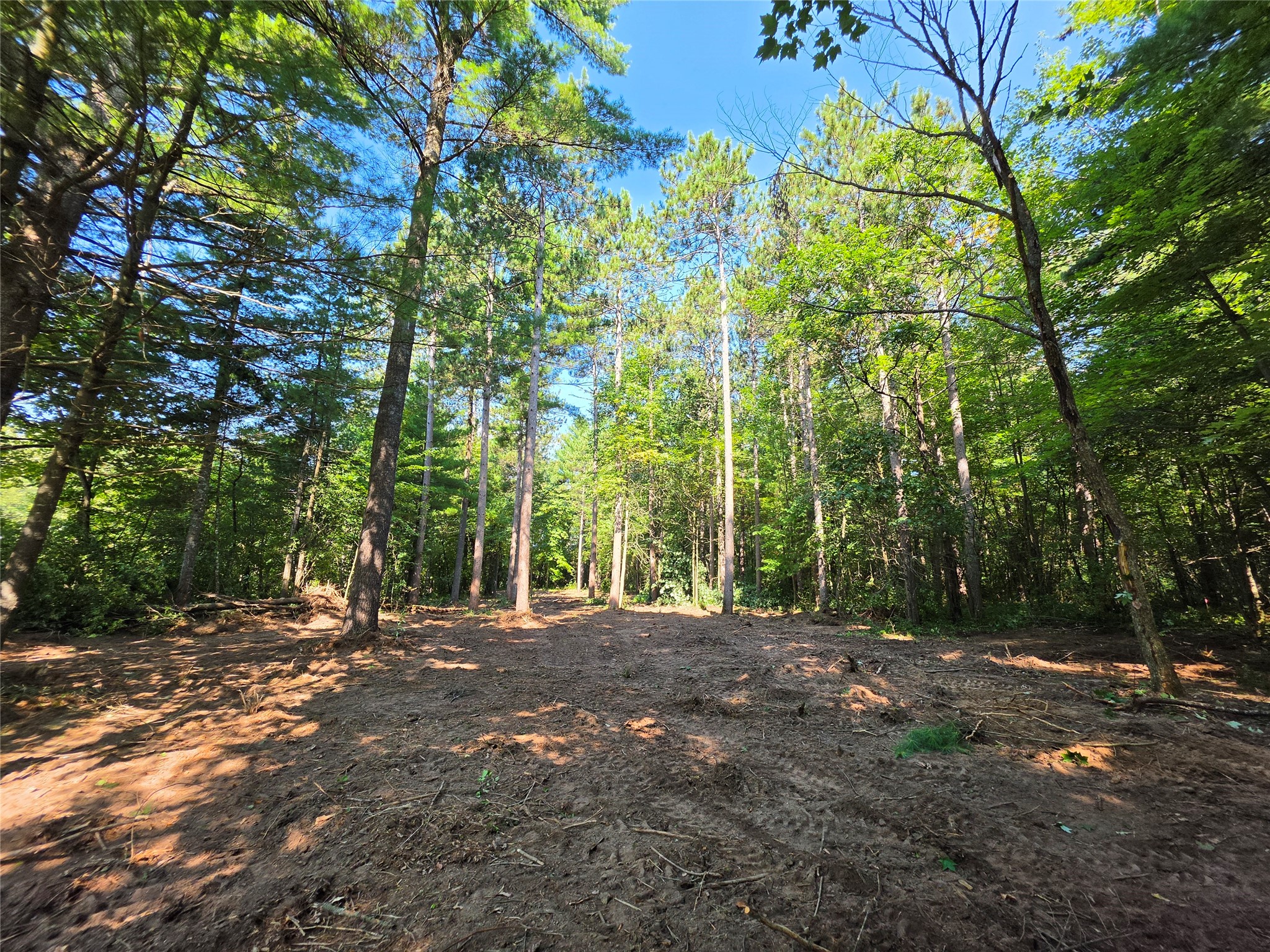 0 Country Road C Lot 1 Property Photo 11