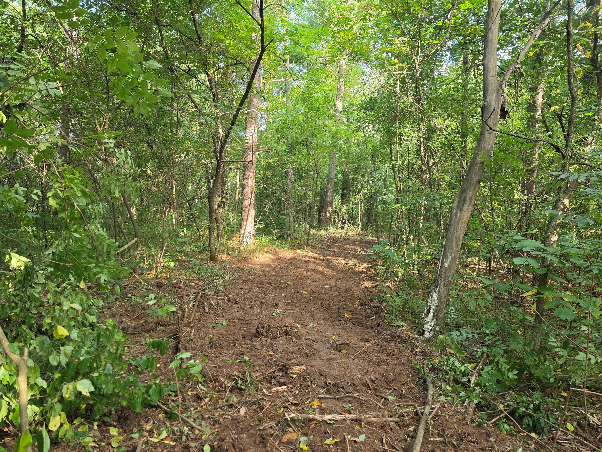 0 Country Road C Lot 1 Property Photo 12