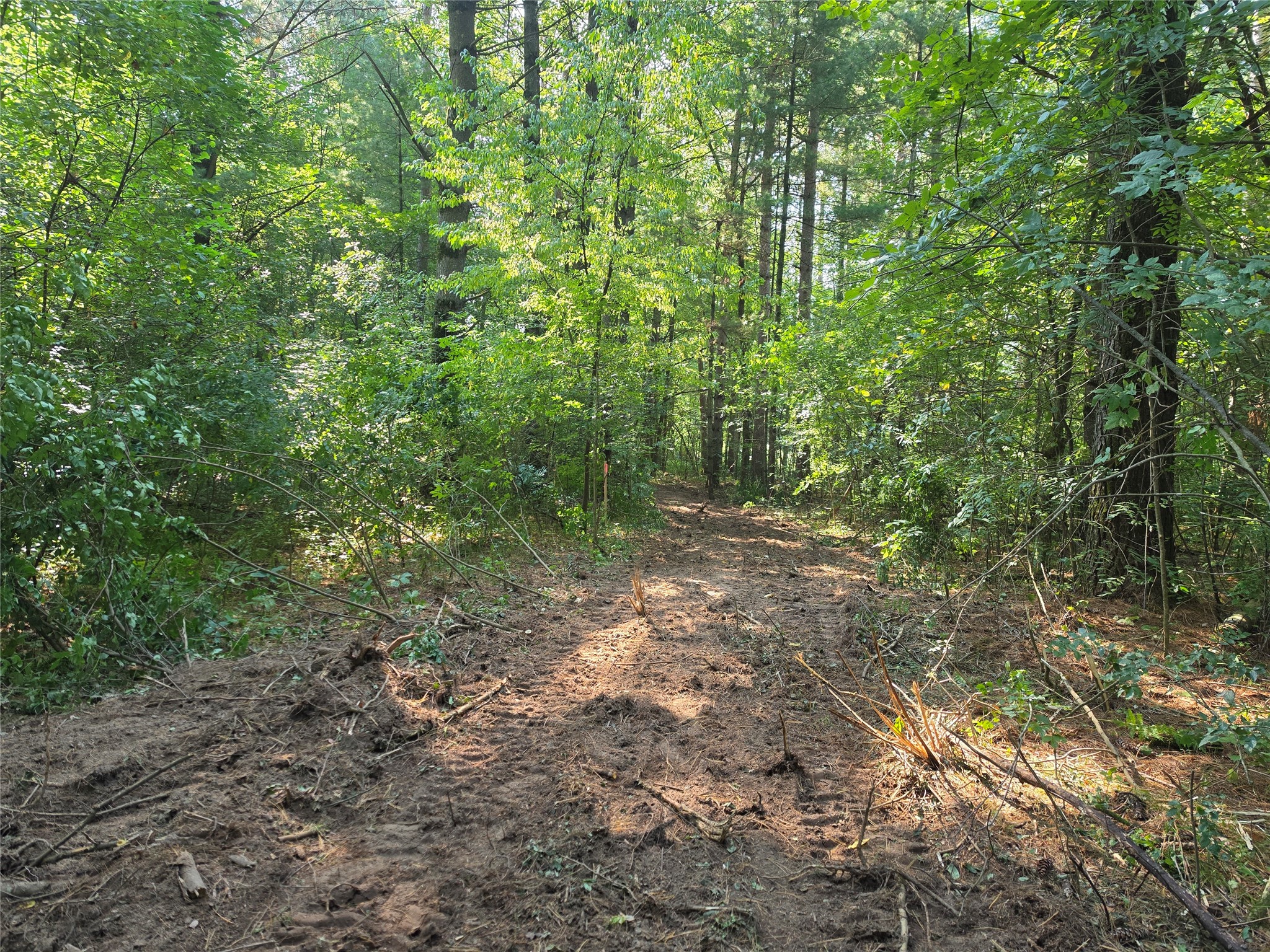 0 Country Road C Lot 1 Property Photo 13