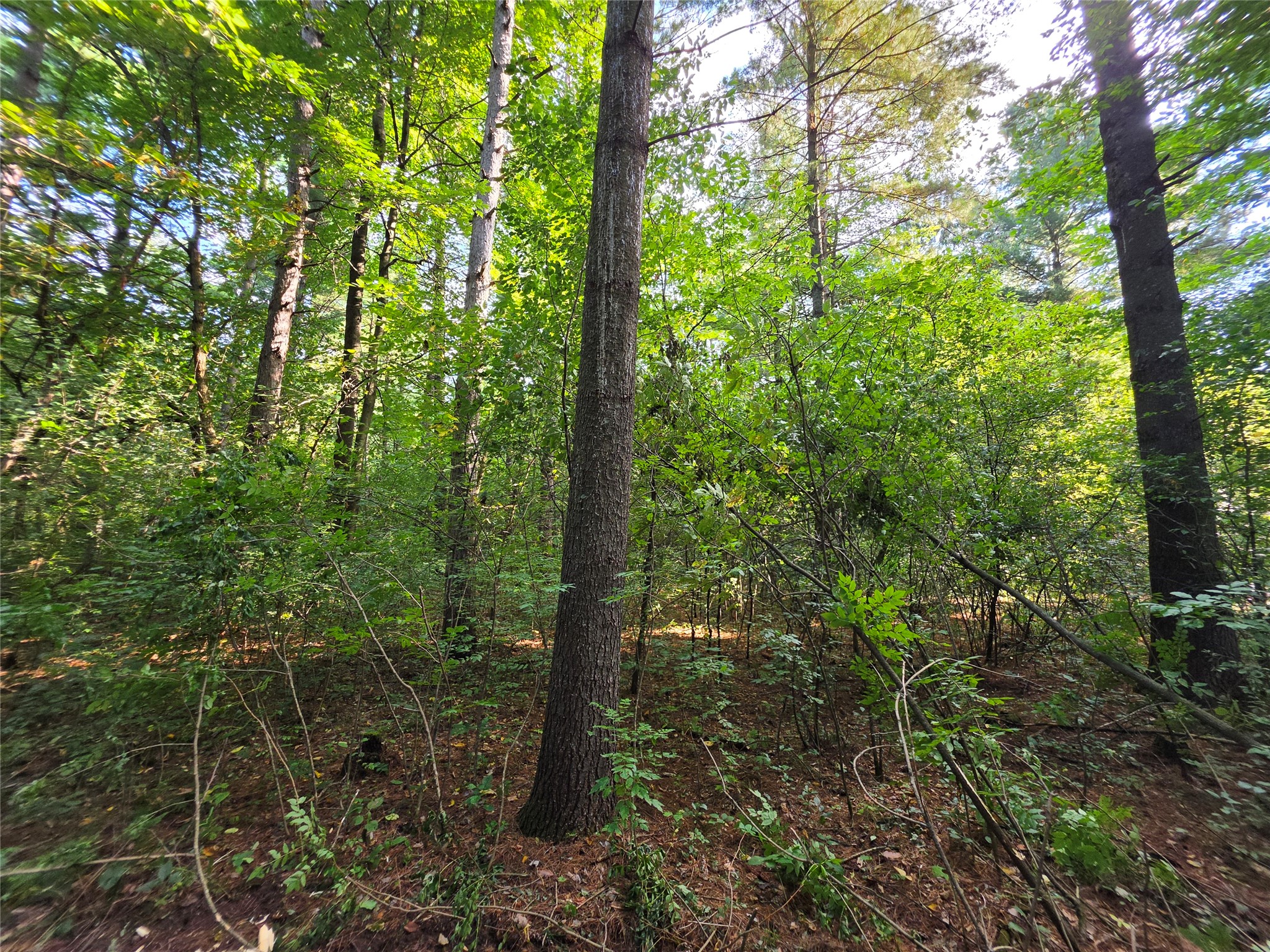 0 Country Road C Lot 1 Property Photo 14