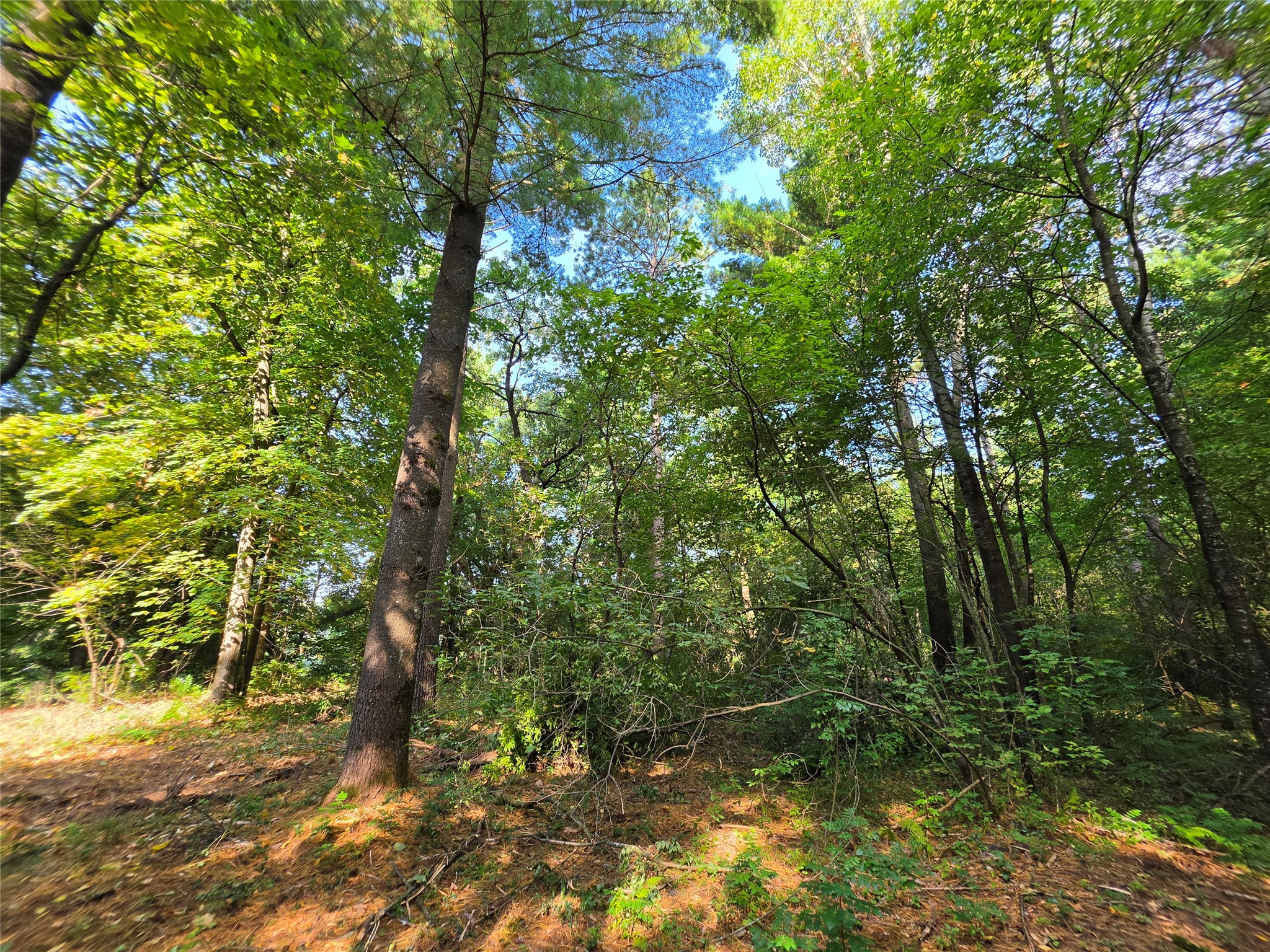 0 Country Road C Lot 1 Property Photo 15