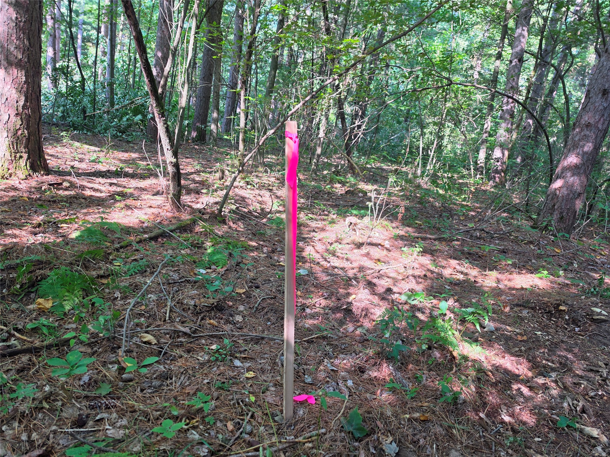 0 Country Road C Lot 1 Property Photo 16