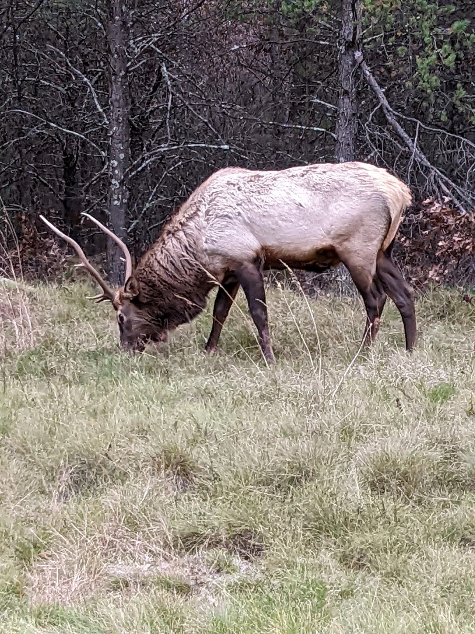 W10289 W Paulley Road Property Photo 42