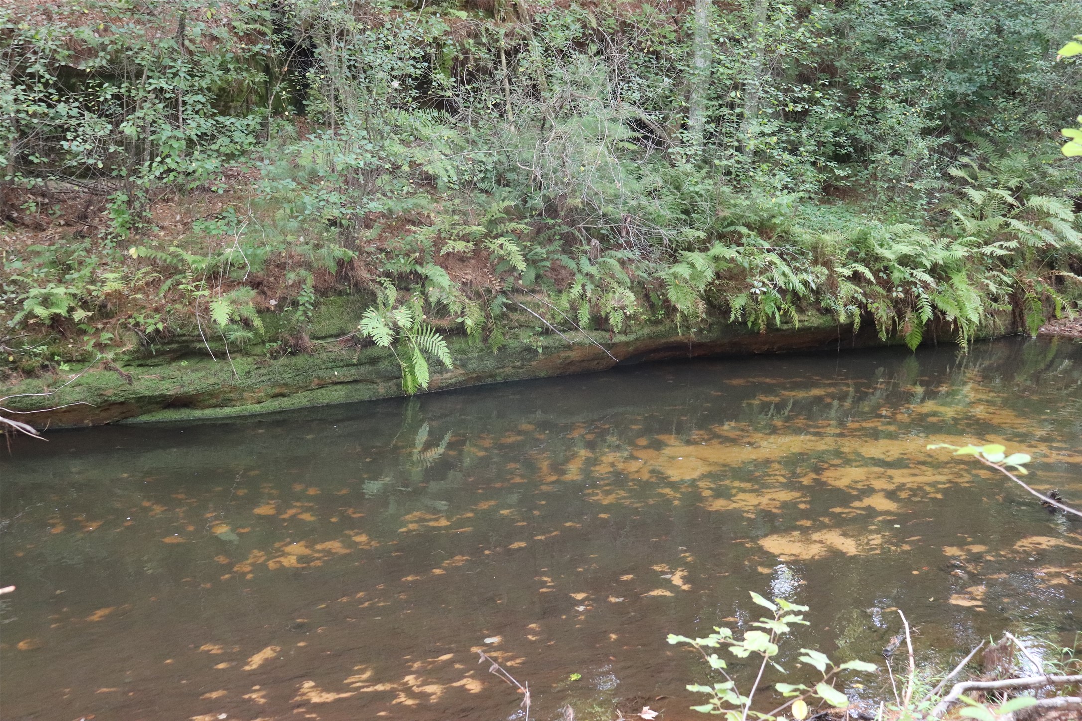 W10289 W Paulley Road Property Photo 43