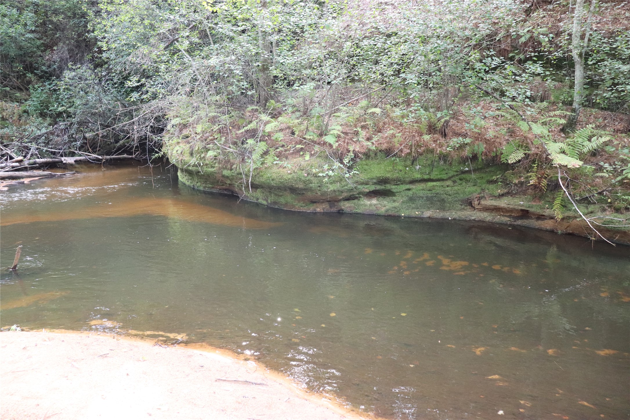 W10289 W Paulley Road Property Photo 44