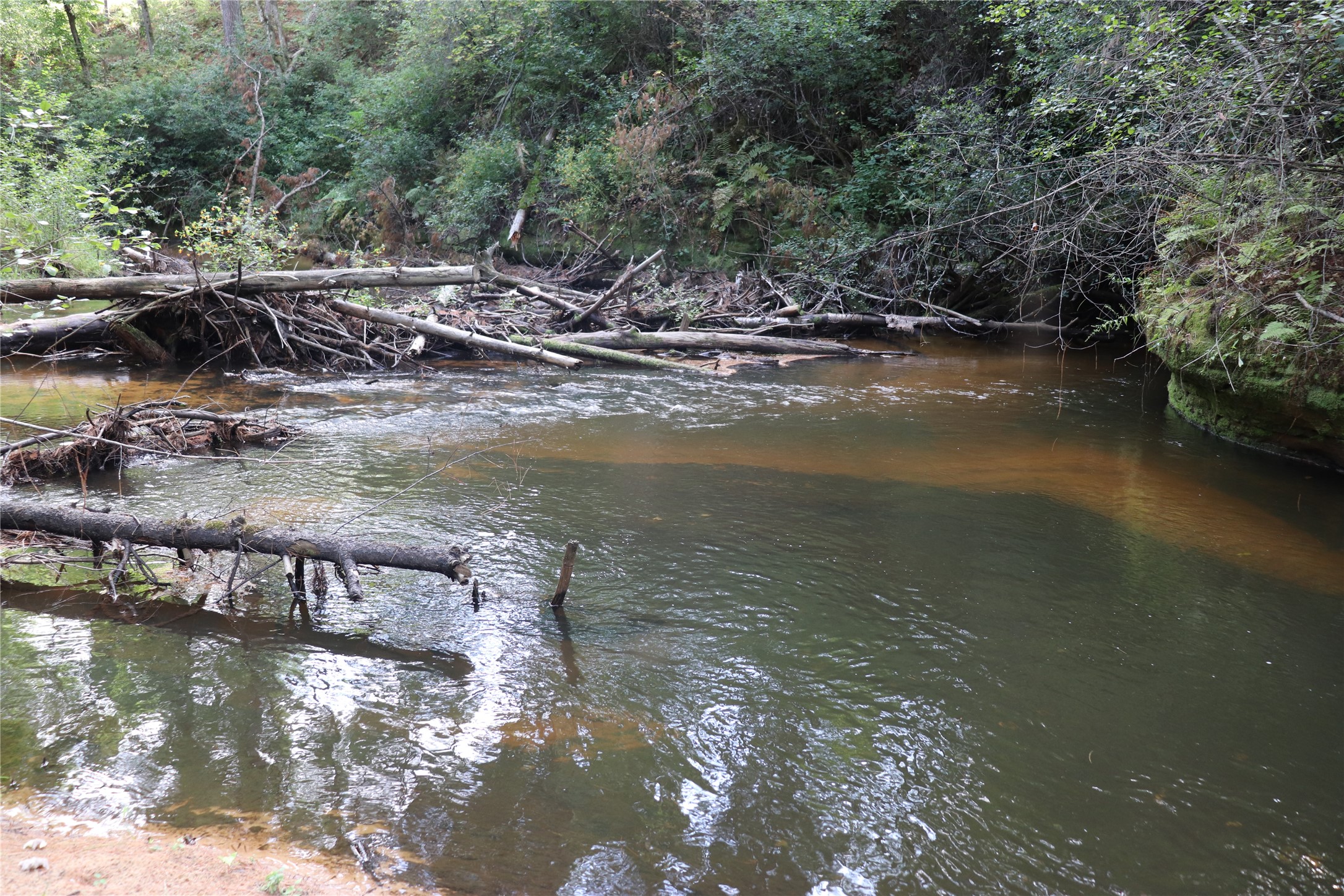 W10289 W Paulley Road Property Photo 45