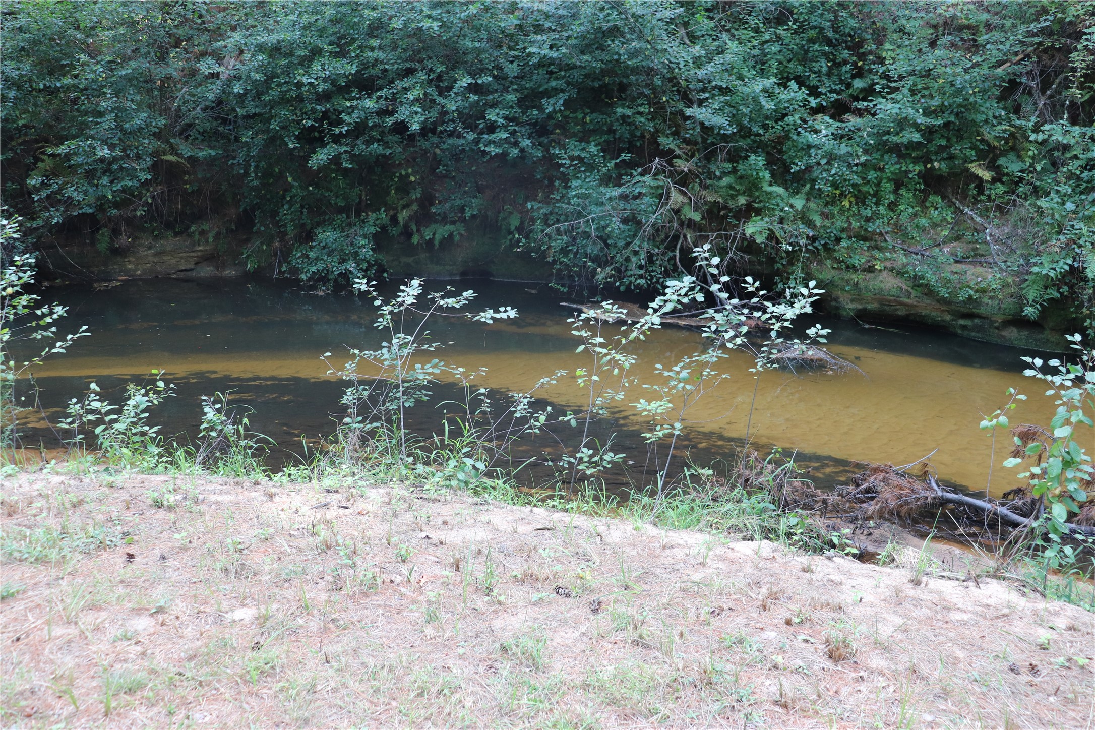 W10289 W Paulley Road Property Photo 46