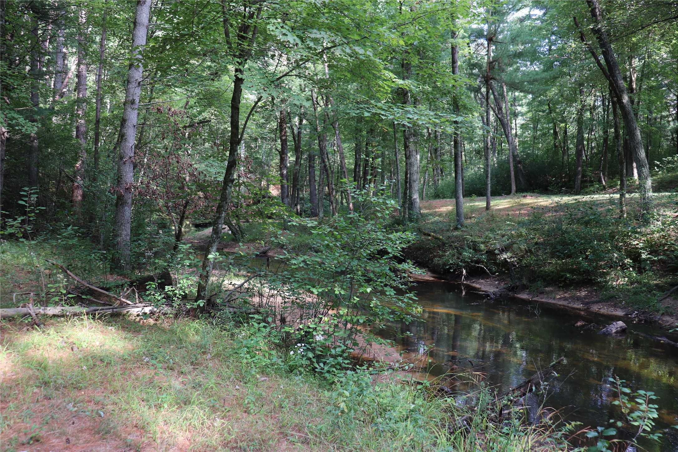 W10289 W Paulley Road Property Photo 47