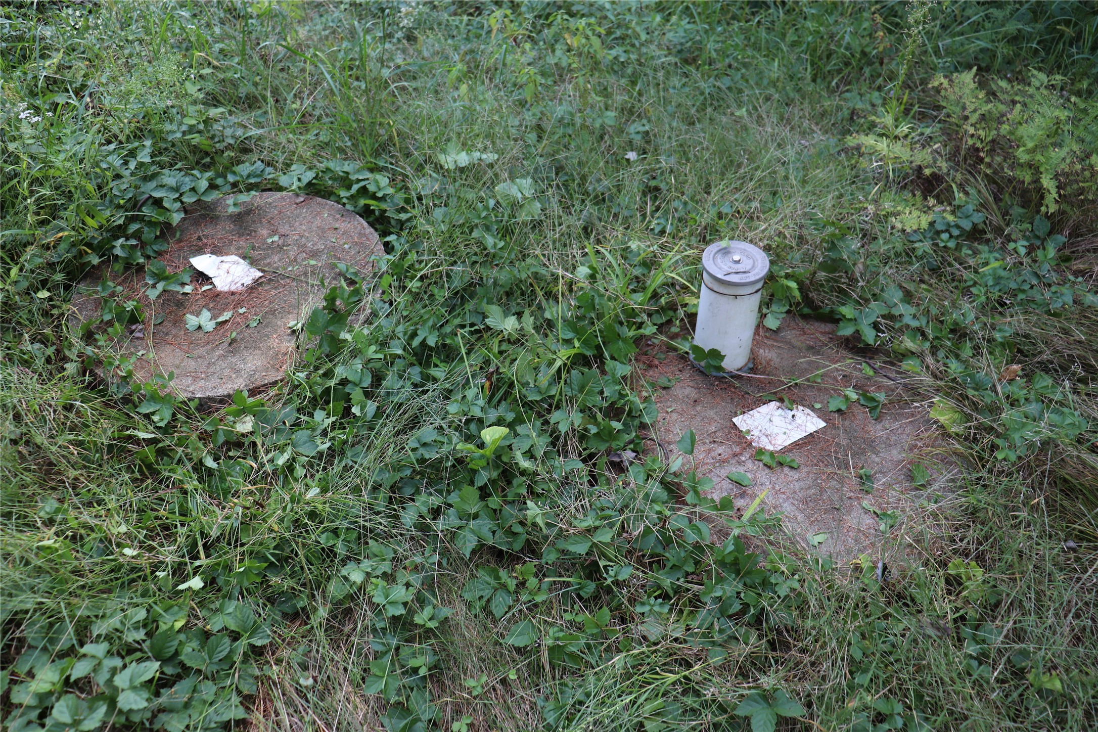 W10289 W Paulley Road Property Photo 55