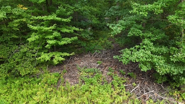 N 8790 Bowery Road Property Photo 8