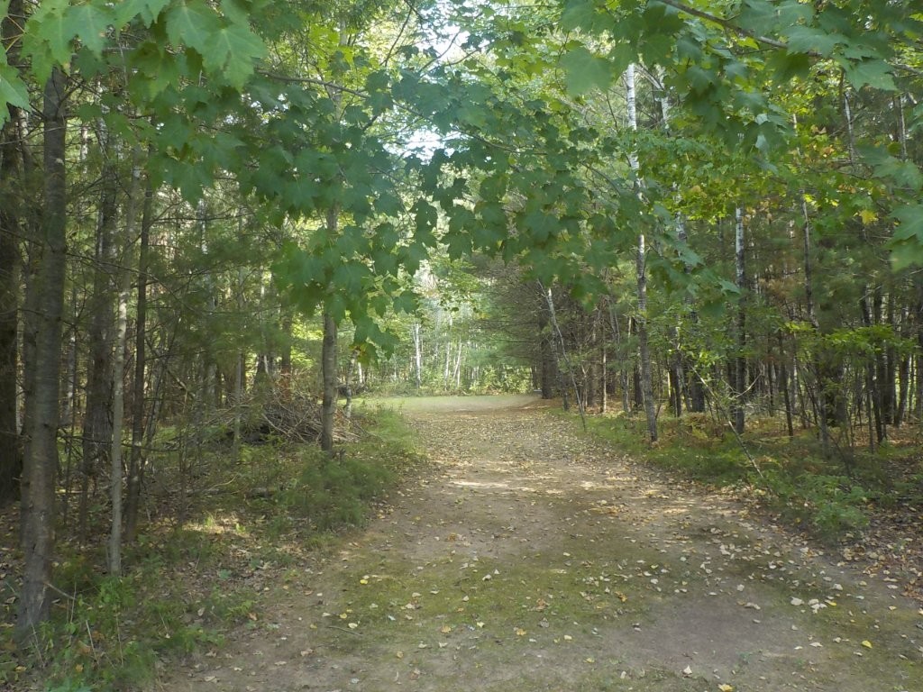 24073 Lind Road Property Photo 22