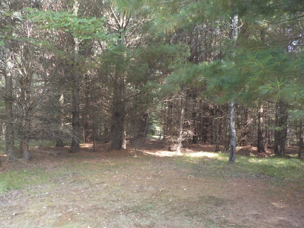 24073 Lind Road Property Photo 23